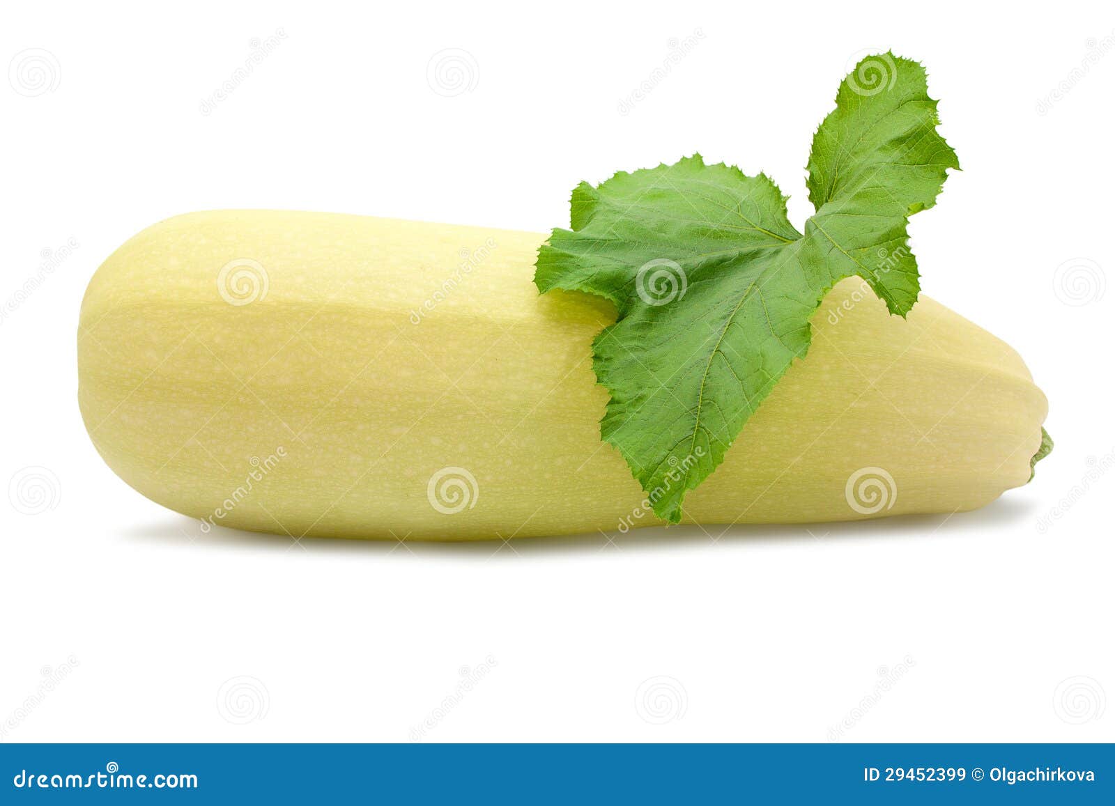 Courgette Met Bladeren Op Wit Worden Geïsoleerd. Dat Stock Afbeelding