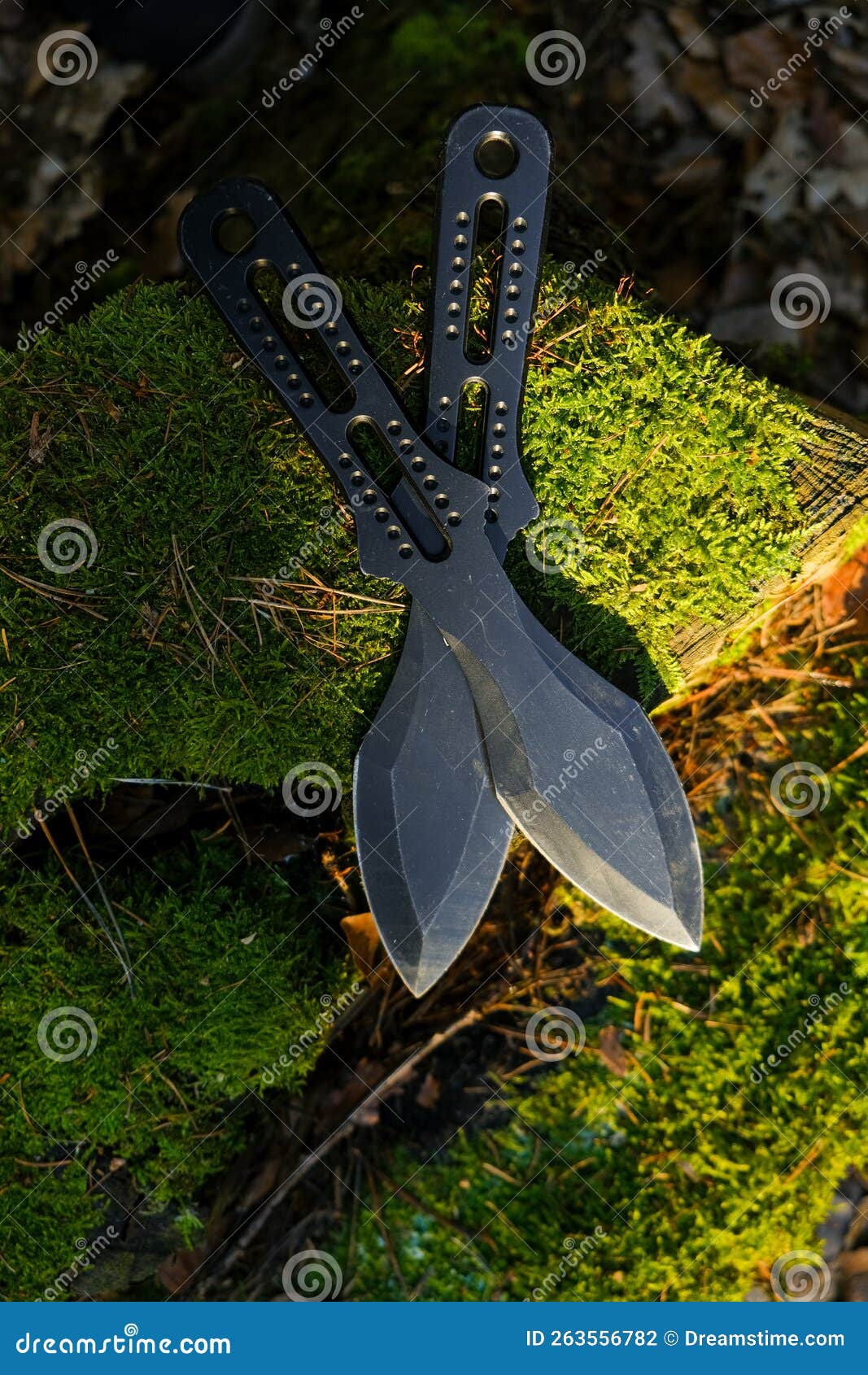 Couteaux à Lancer Noir Sur Un Mossy Stump Sport Et Hobby Sports De Plein  Air équipement Sportif. Photo stock - Image du sport, extérieur: 263556782
