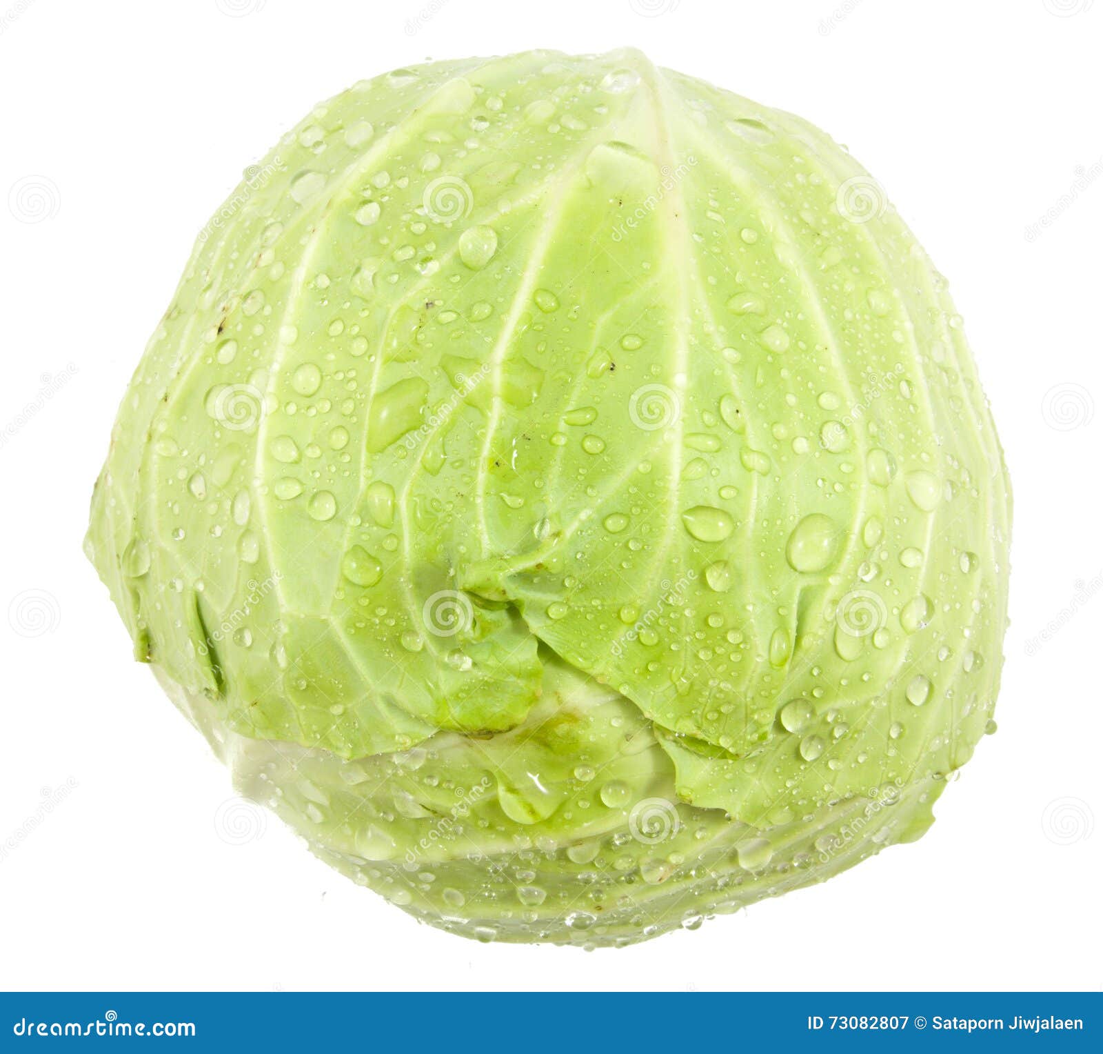 Couve Verde De Vista Superior Isolada Imagem de Stock Imagem de