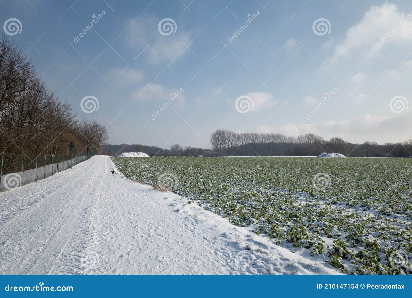Couverture De Neige Terrain Et Champ à La Campagne En Allemagne
