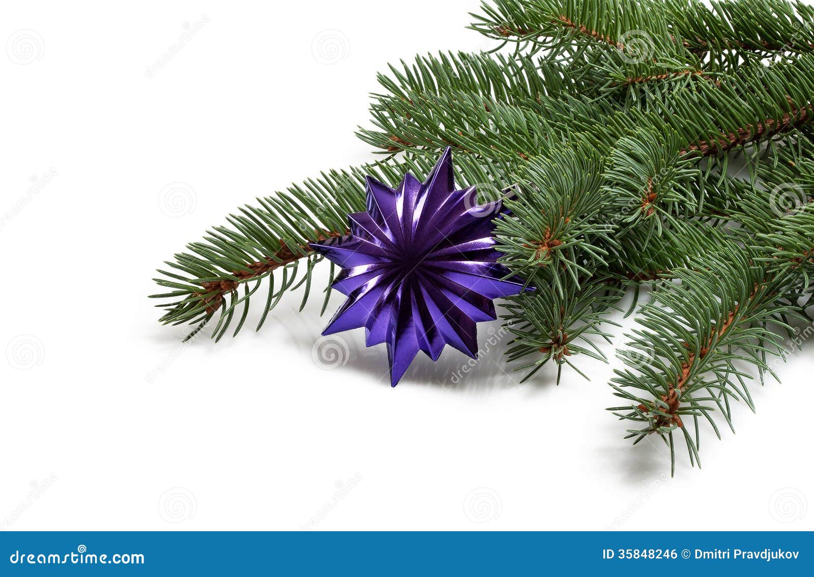 Covered with Branch of a Christmas Tree and Deep Purple Star Stock
