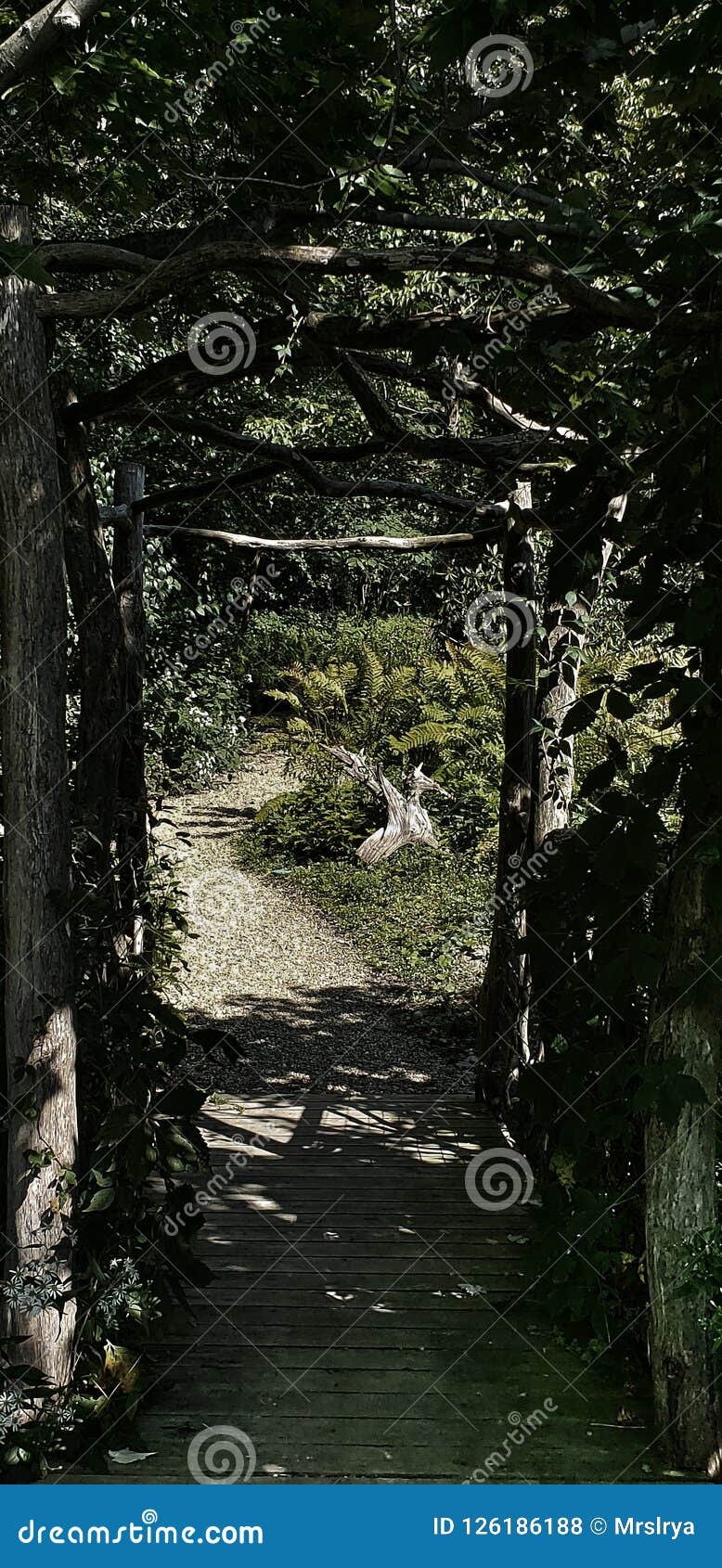 Covered Bridge in the Park at the Holden Arboretum in Kirtland, Ohio Stock Photo Image of