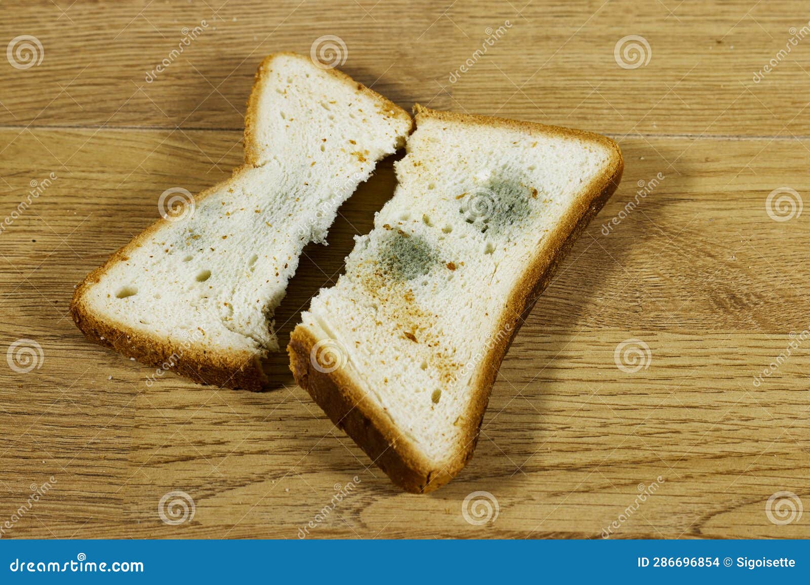 Covered with Green Mold, Spoiled Toast Bread, Spoiled Food Covered with