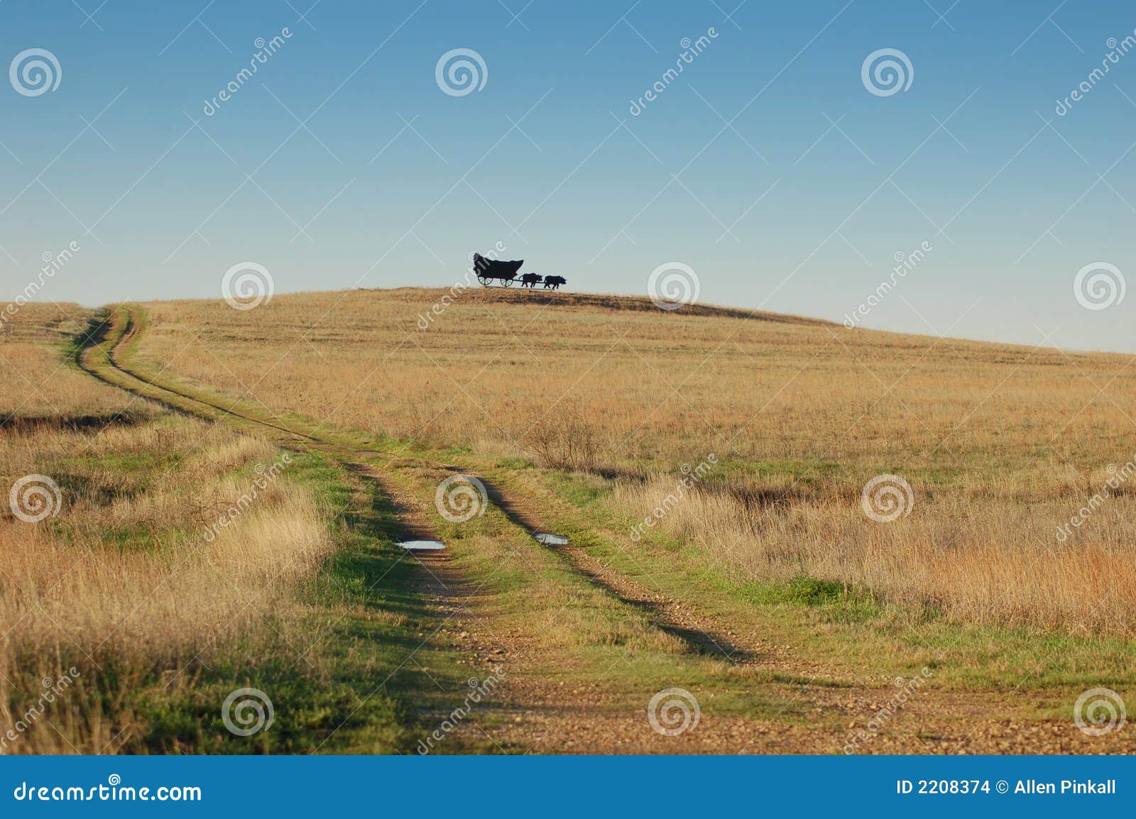 Covered Wagon stock photo. Image of road, path, grass - 2208374