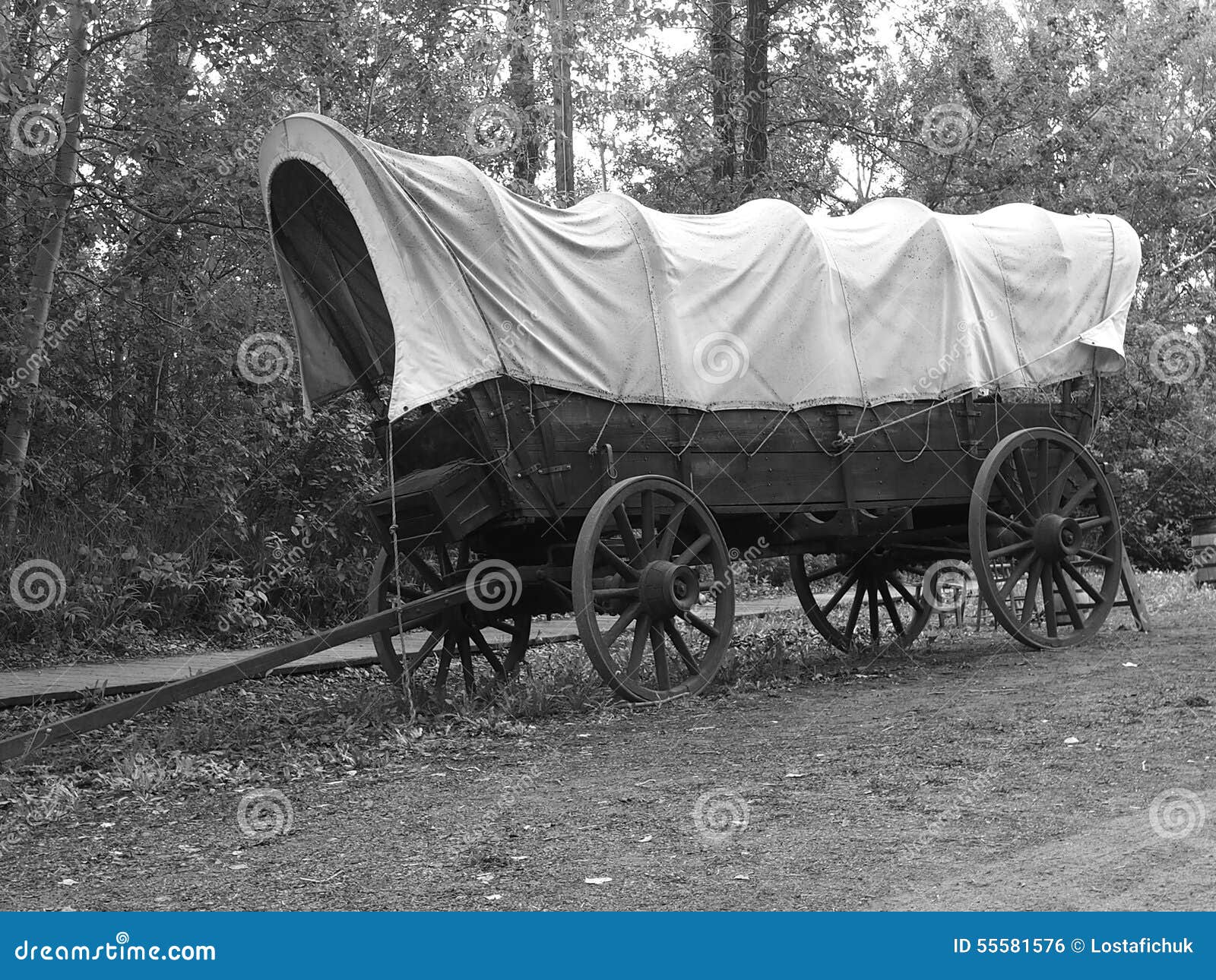 Covered Wagon stock photo. Image of transportation, fashioned 55581576