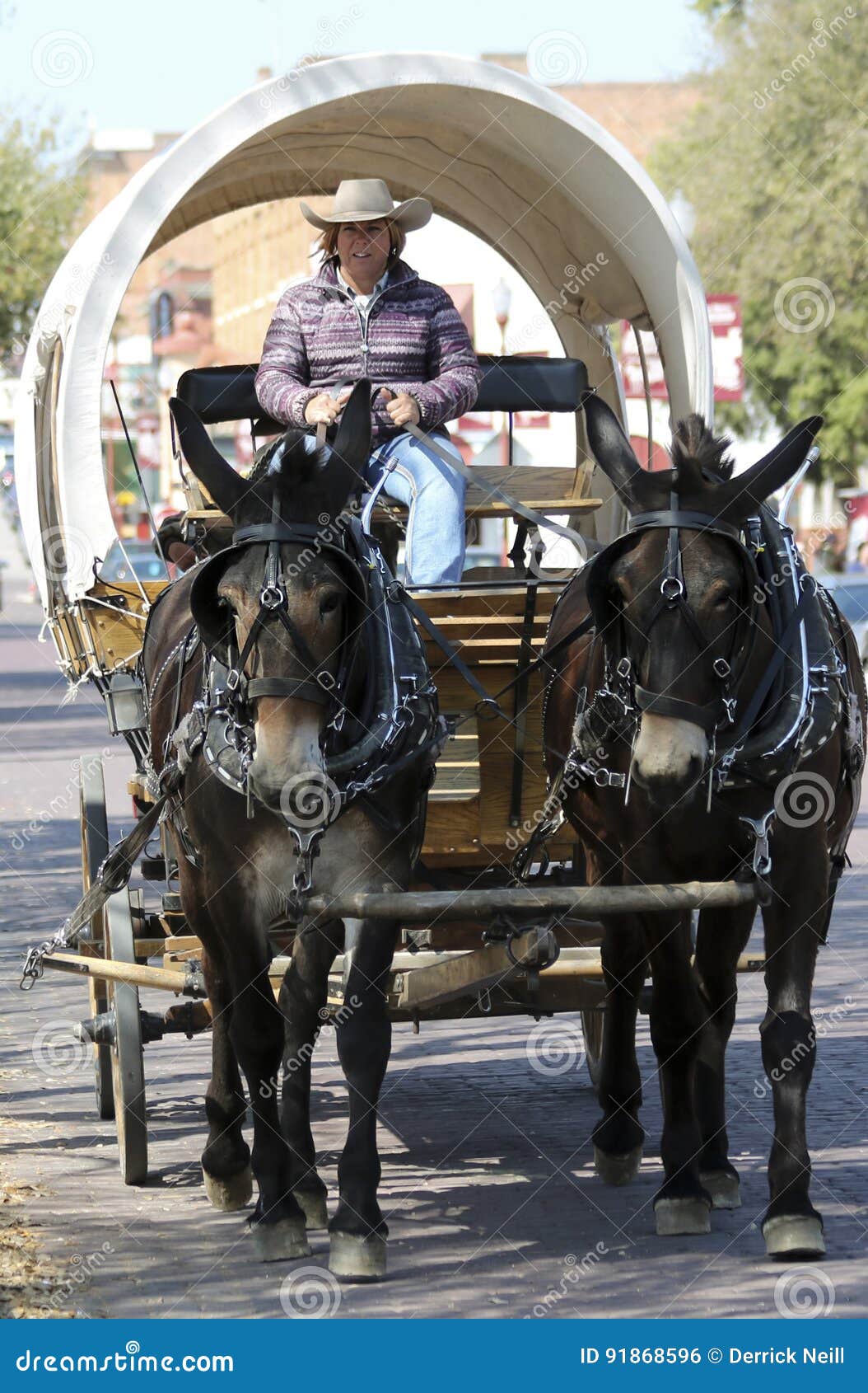 pioneer woman wagon