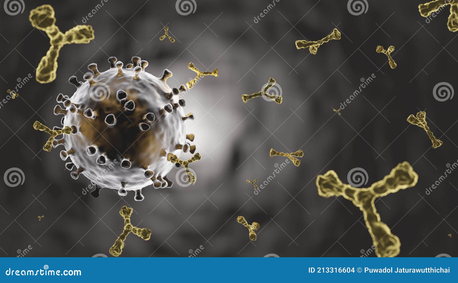 covid-19 . coronavirus and antibody molecule from antiviral vaccine injection . human recieve vaccine and produce antibody for