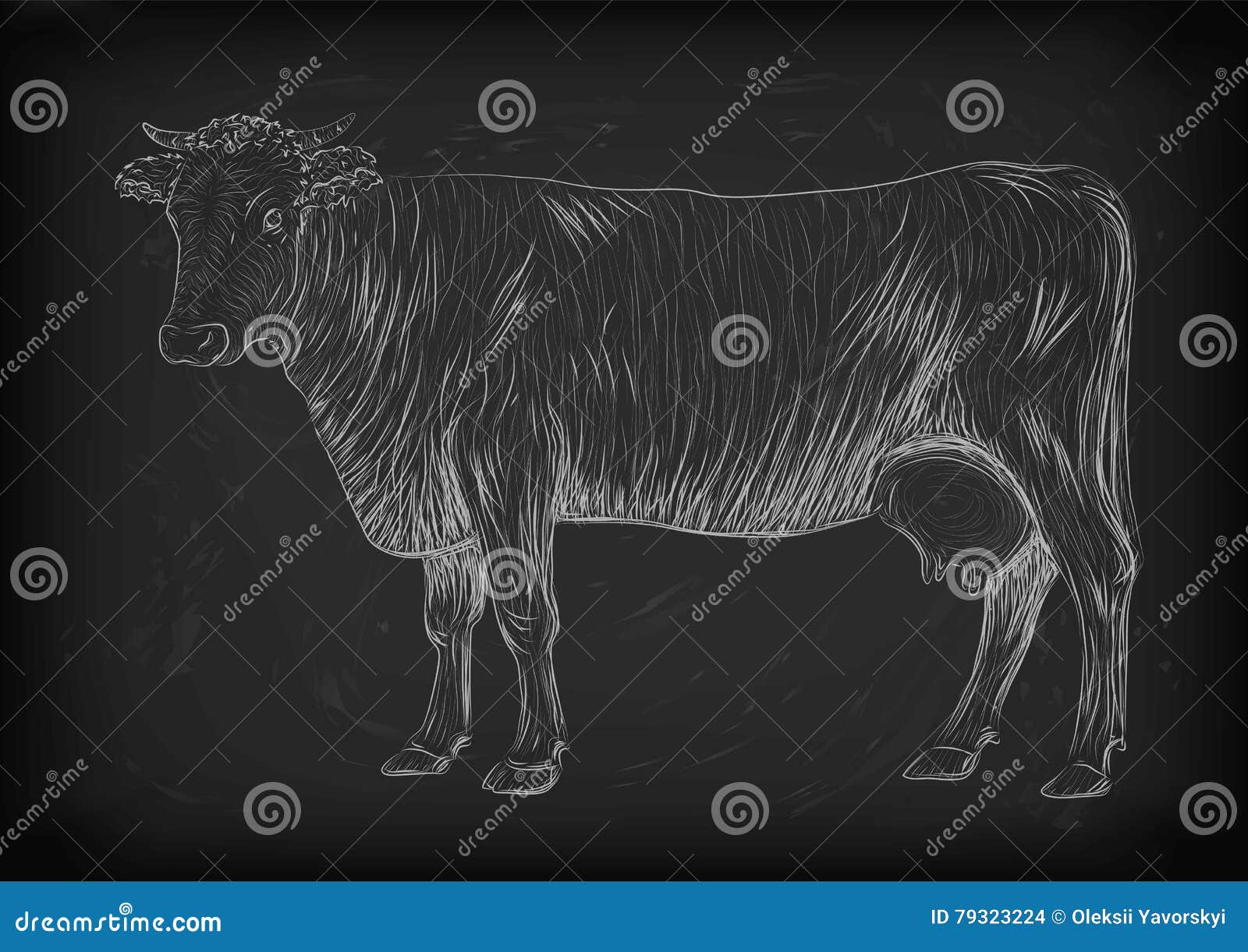 cow, calf, bull cute muzzle animal mammals living full-length en