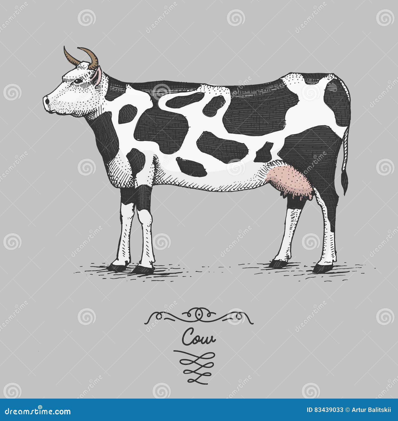 Highland Cow Minimalist One Line Drawing, Digital Download - Etsy