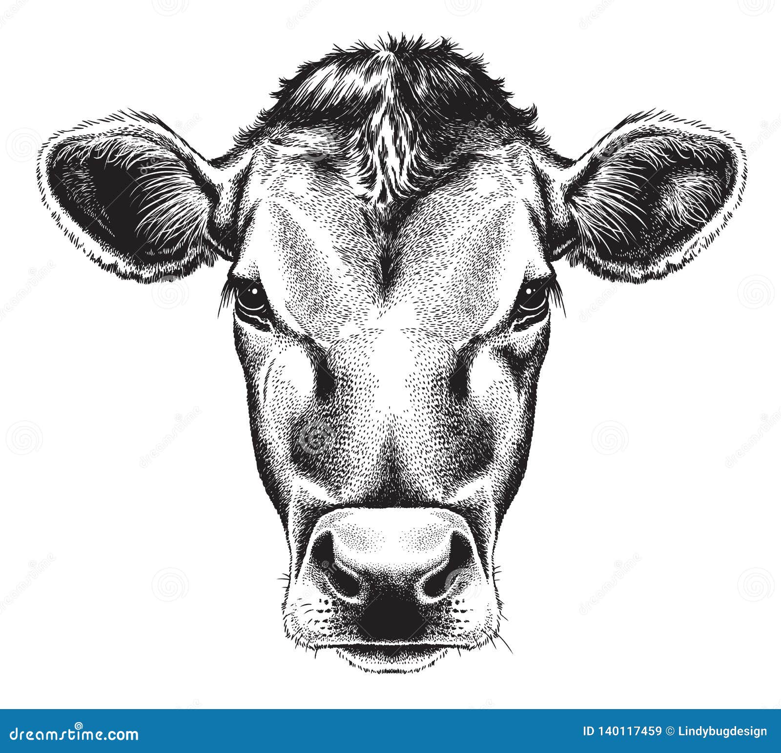 Cow Face Drawing HighQuality  Drawing Skill