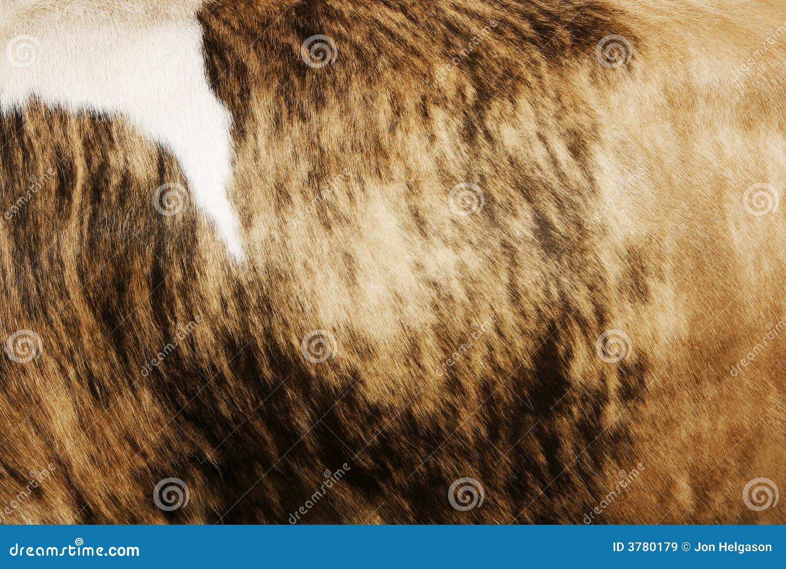 cow hide