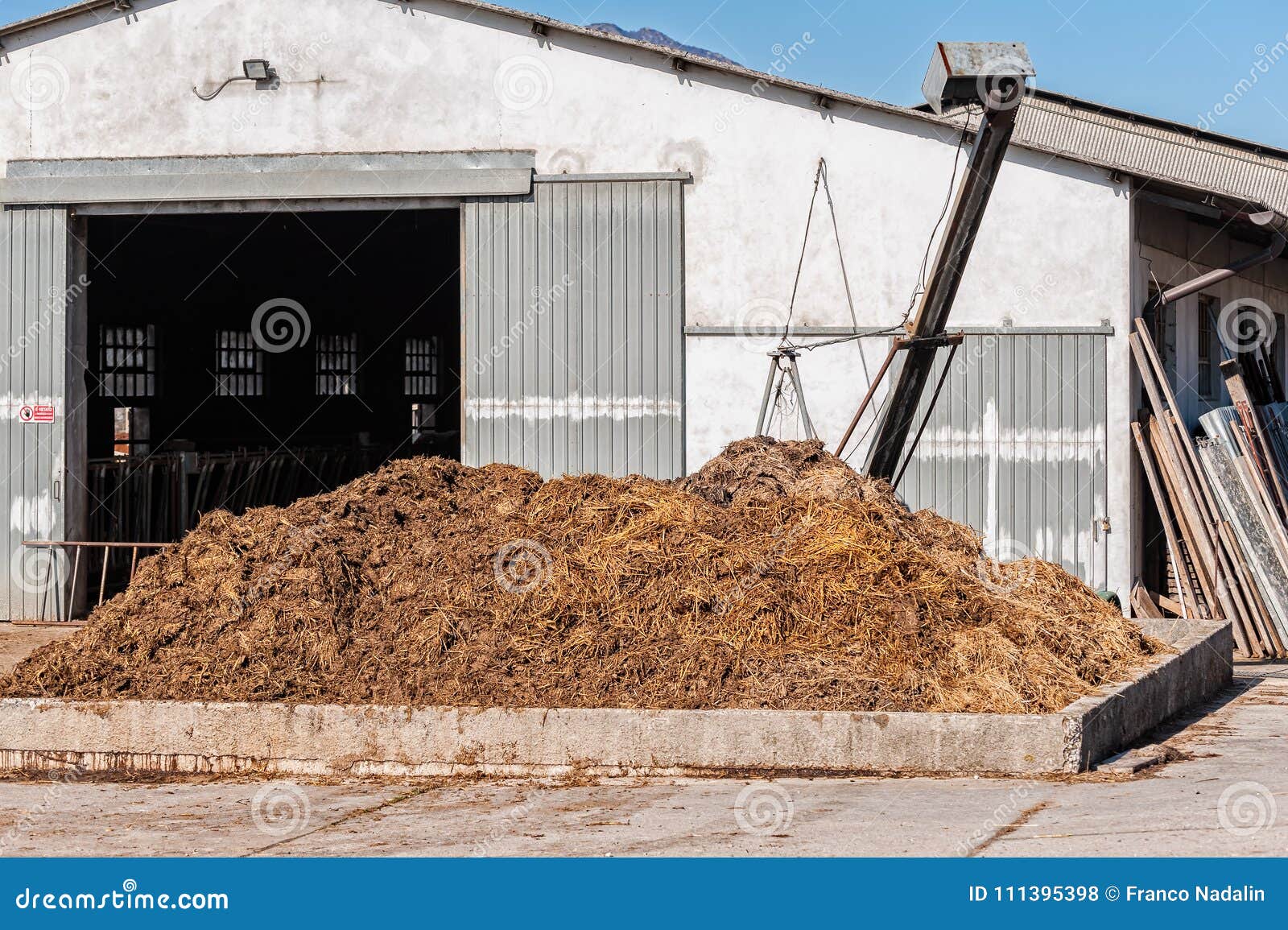 cow manure that will be used to fertilize.
