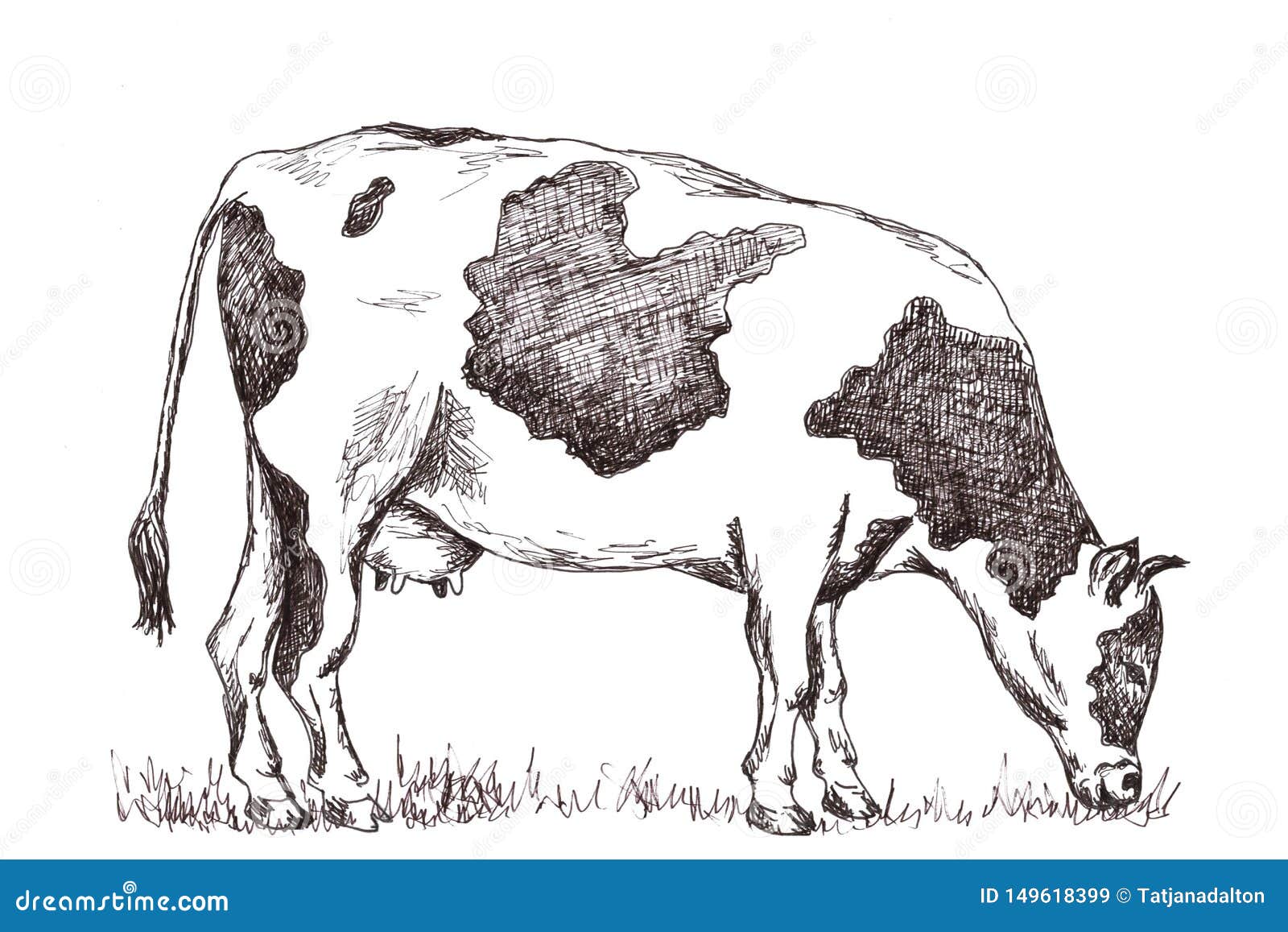 Artistic cow pencil drawing in English  Stock Illustration 72054449   PIXTA
