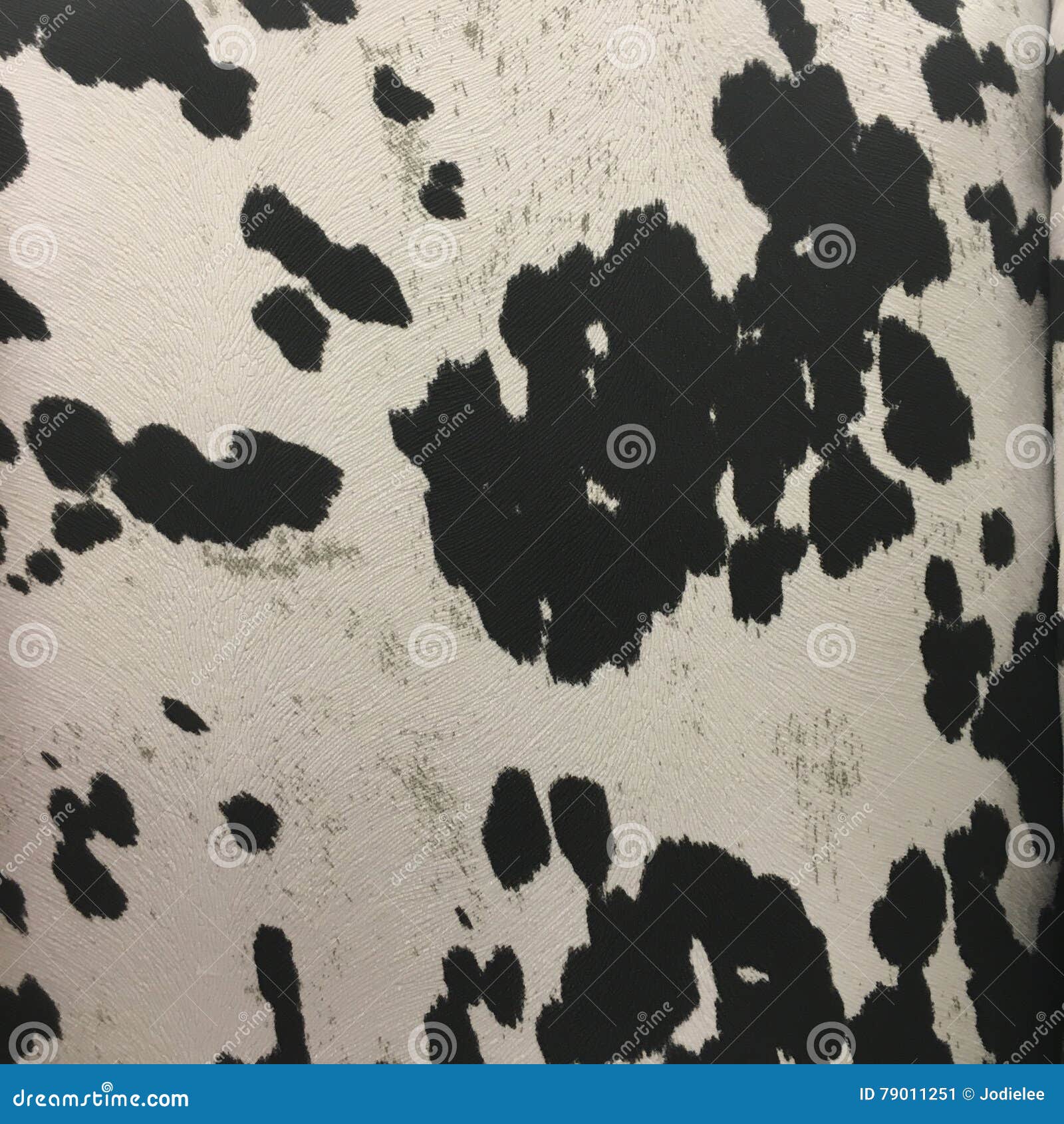 Cow Print Background Fabric Pattern Stock Image Image Of Animal