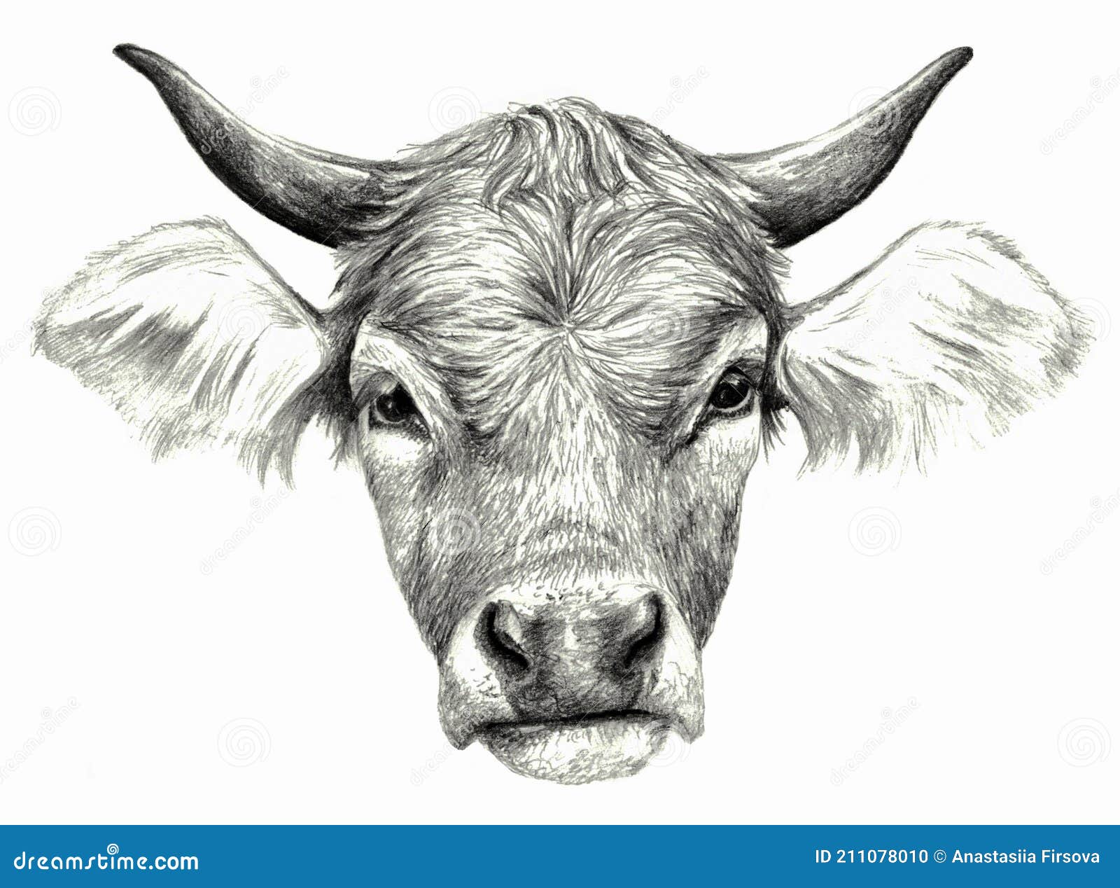 Cow pencil drawing Painting by Mike Jory  Pixels