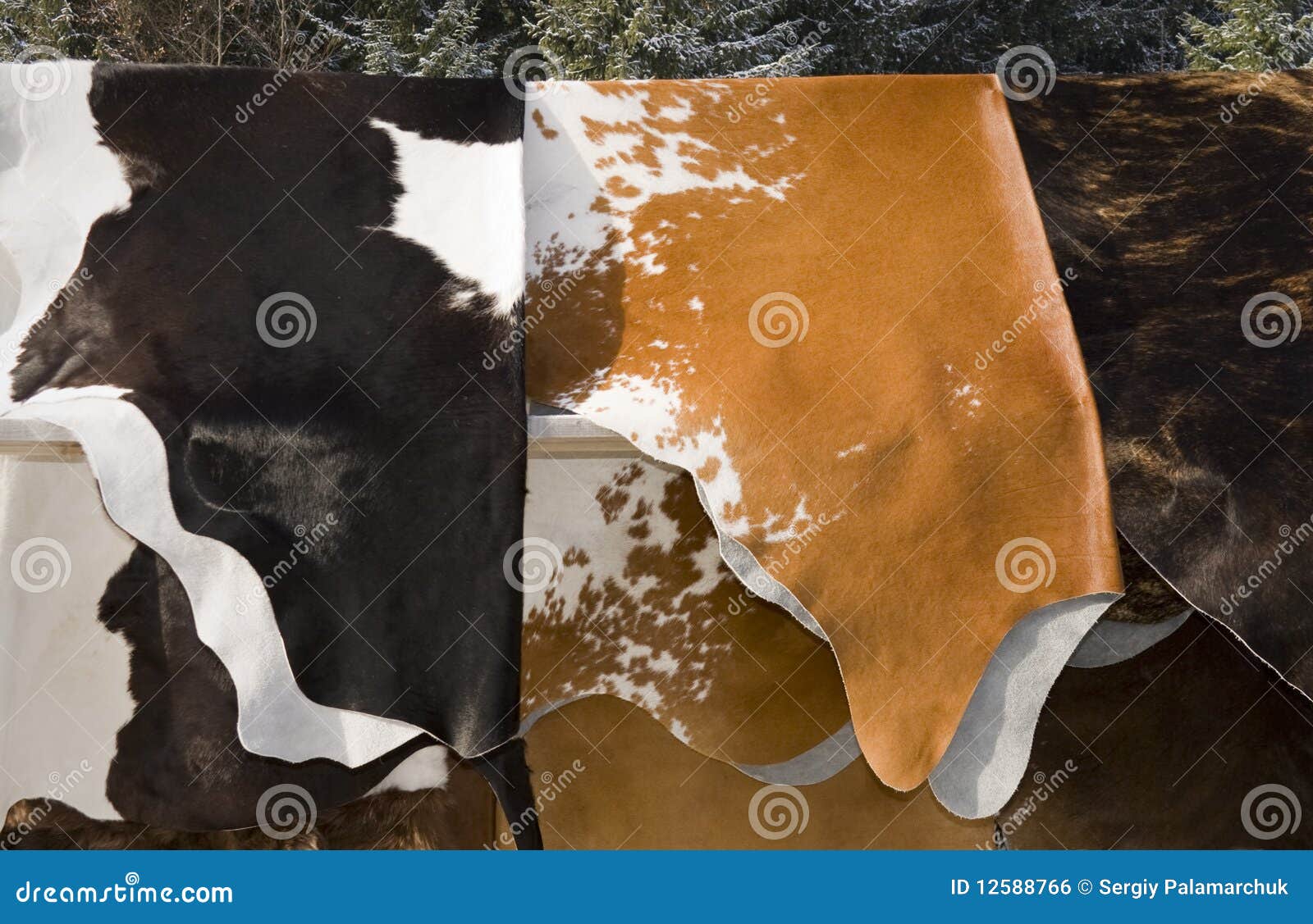 Cow s skins selling stock photo. Image of clothing, market 12588766