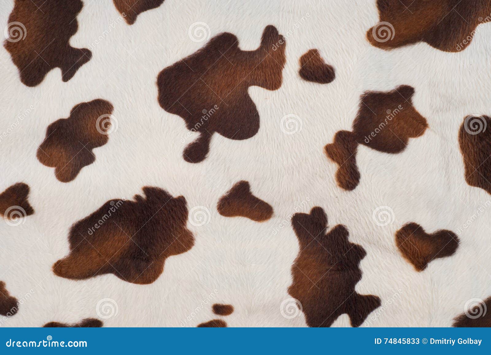 Cow skin texture stock image. Image of fluffy, africa 74845833