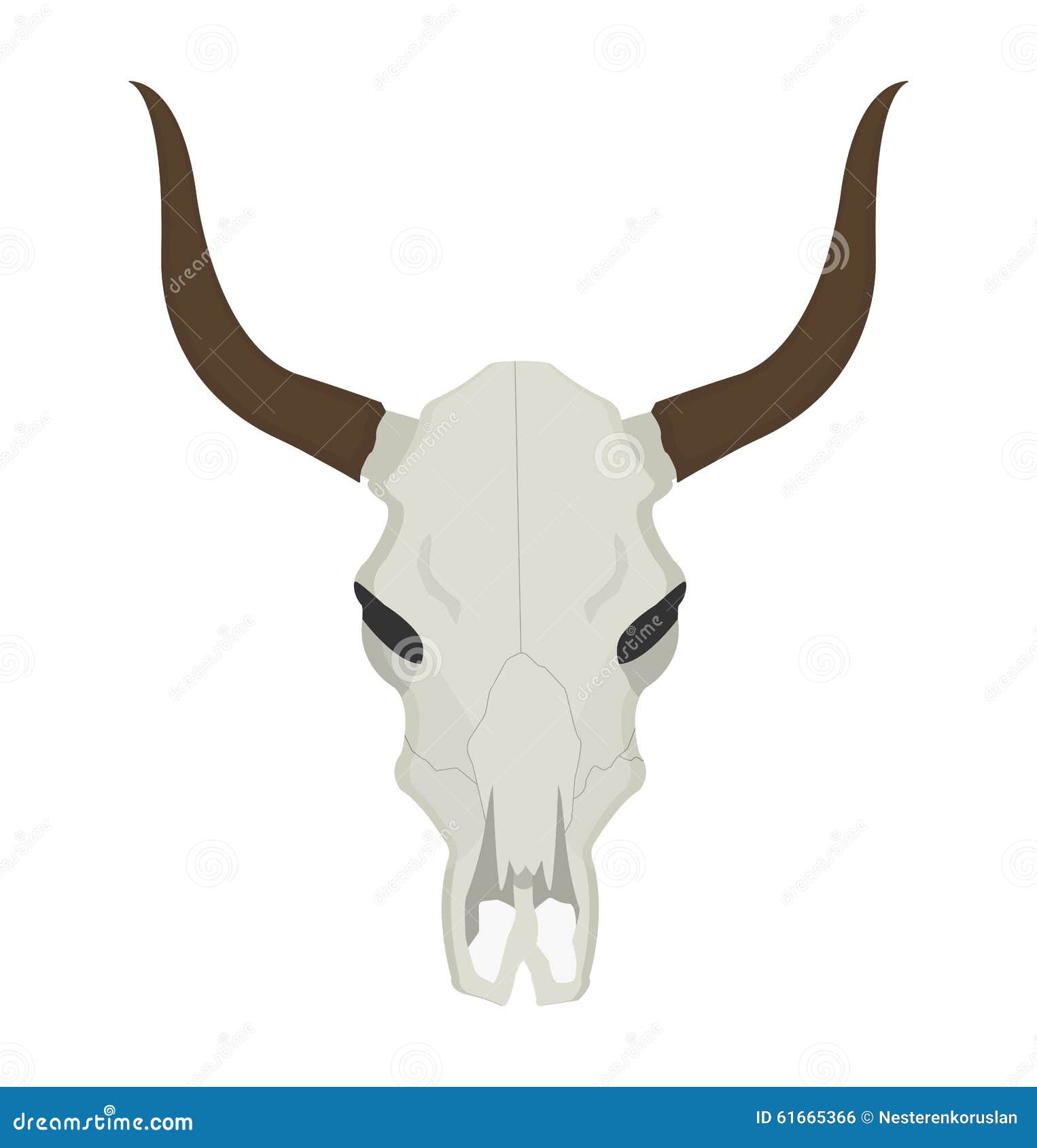 clip art cow skull - photo #38