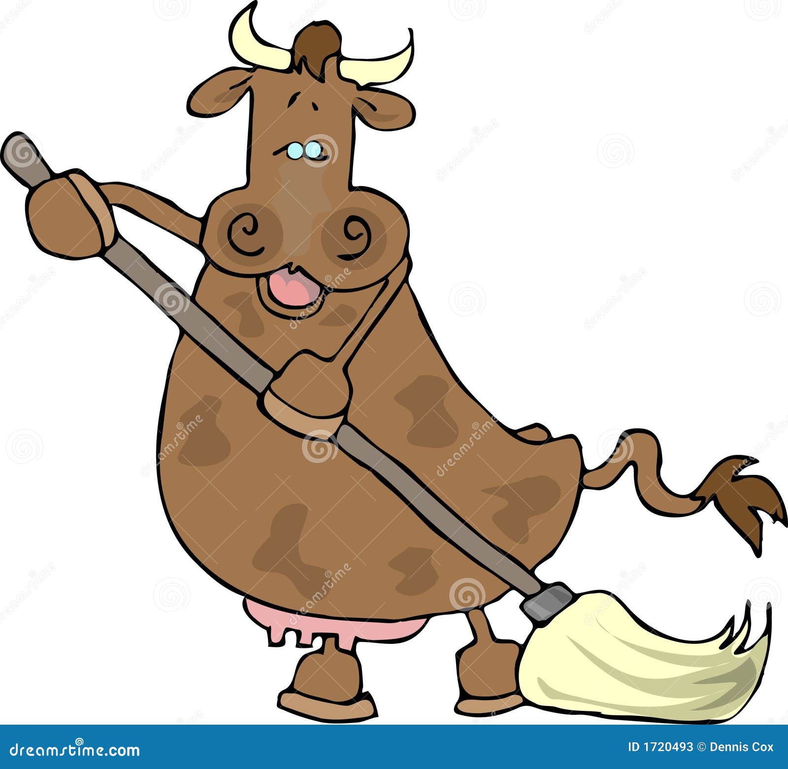 Cow Using A Mop Stock Photos Image 1720493