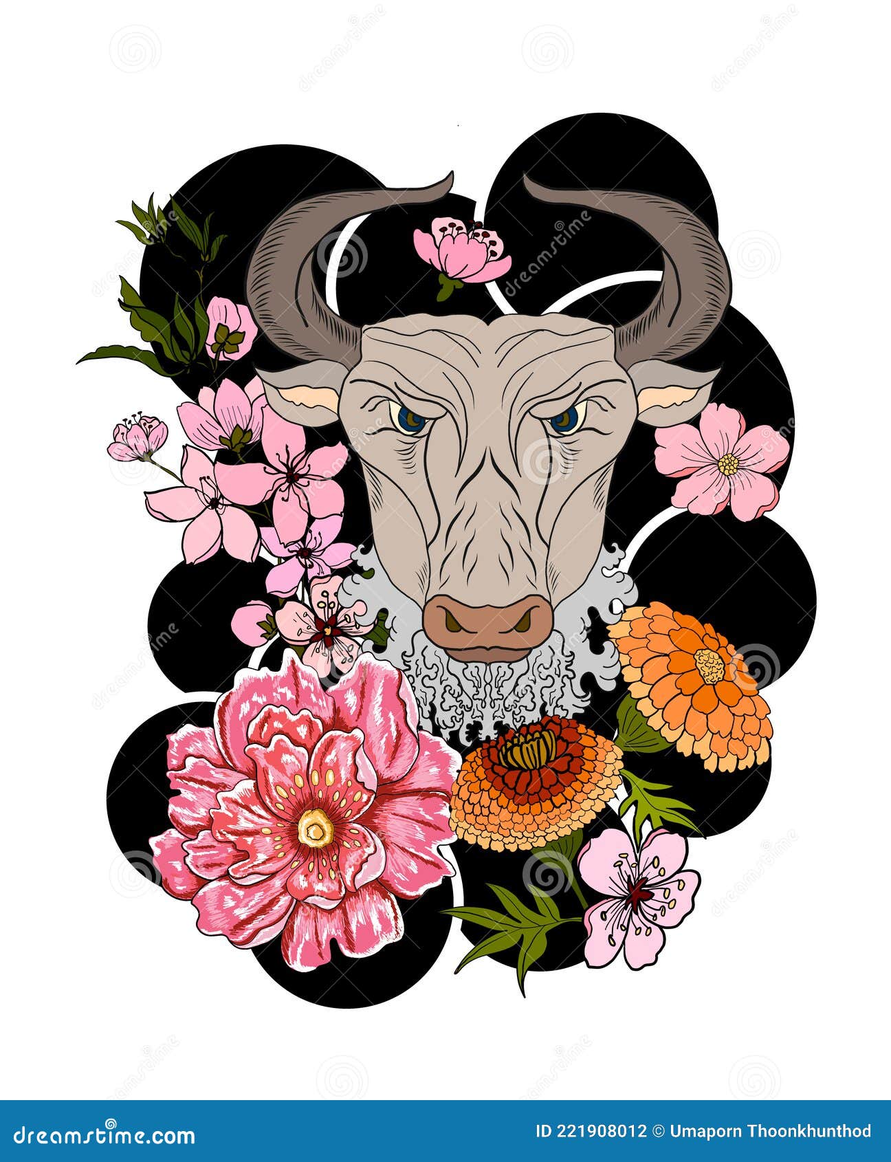 cow  of astrology .horoscope circle with signs of zodiac set 