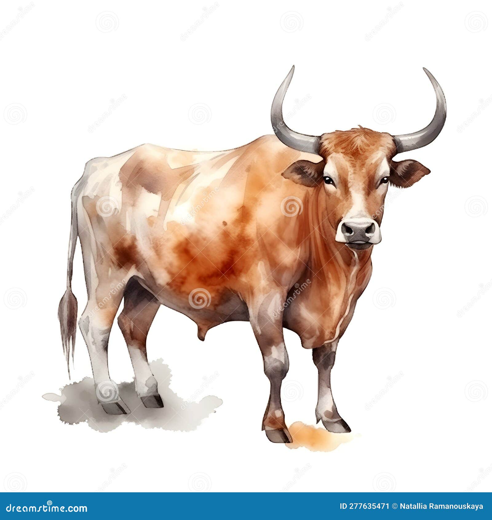 Cow Watercolor Illustration. Brown Swiss Breed Stock Illustration