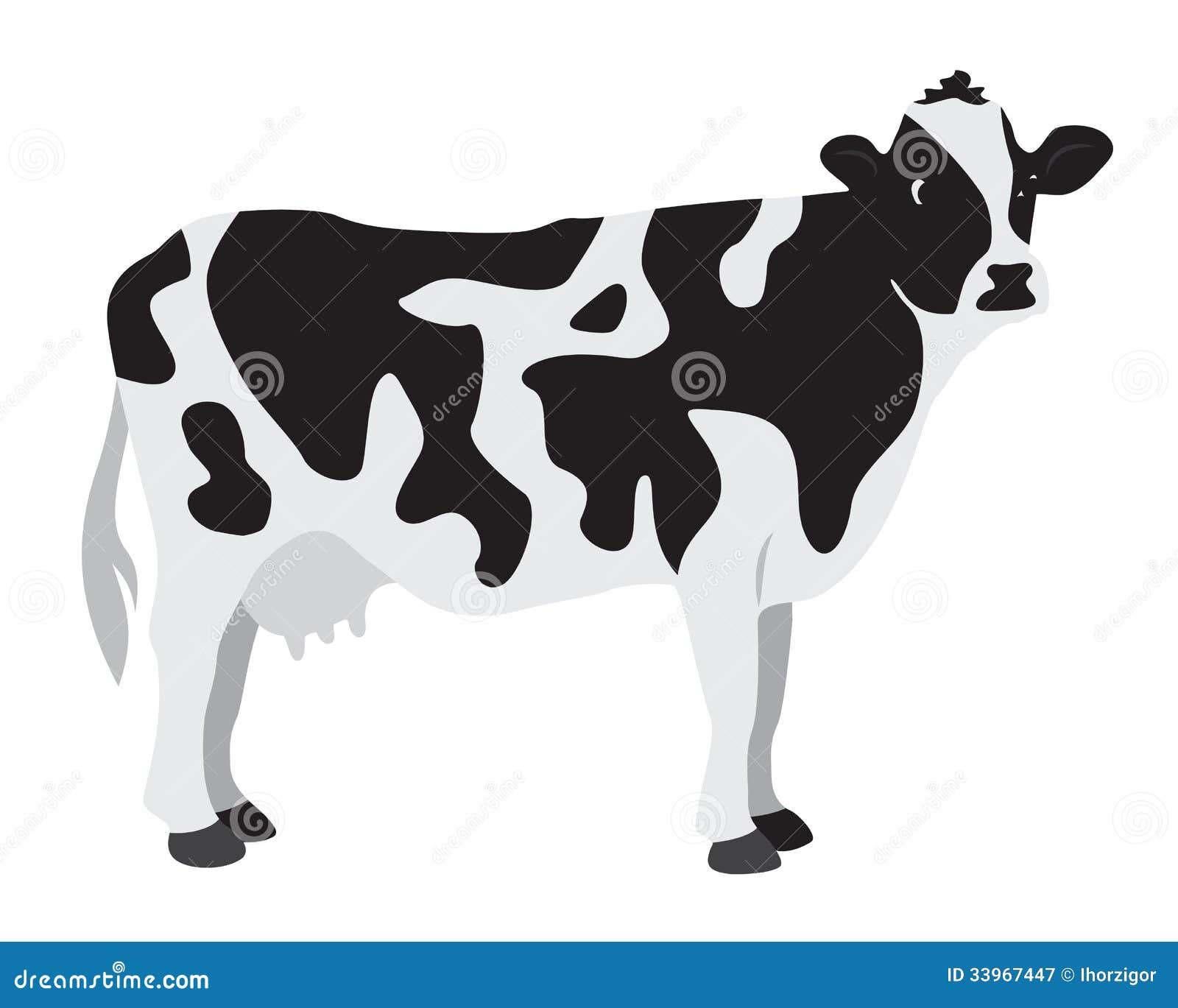 cow