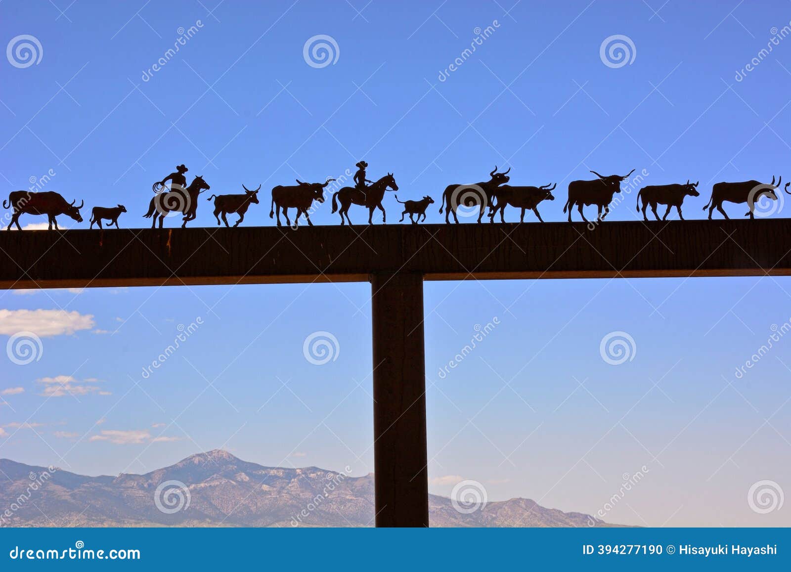 The Cattle - Gallagher's Stud, image size:1600x1157