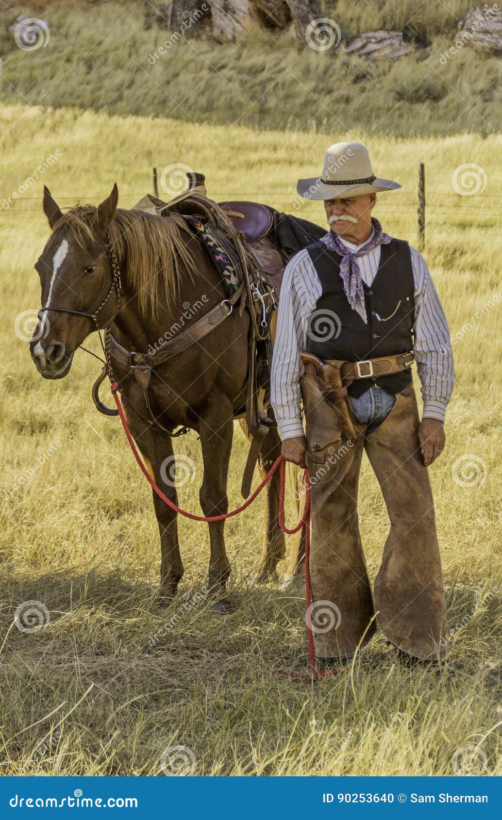 Cowboy avec le cheval photo stock. Image du berger, muscles - 90253640
