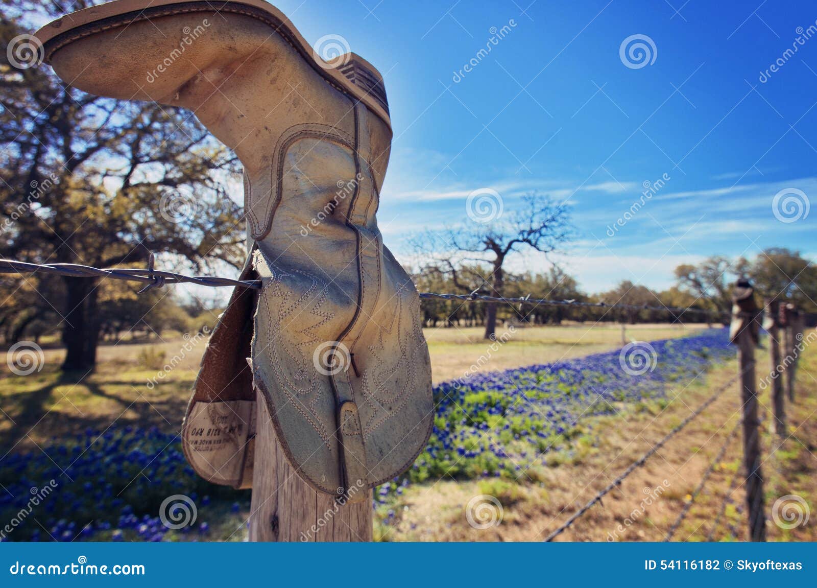 cowboy boots on barbed wire fence with bluebonnets