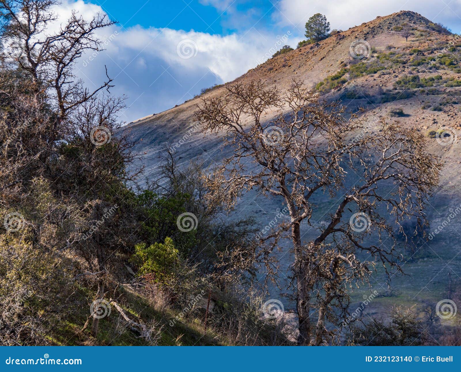 Cowboy Camp, Cache Creek Wilderness Stock Photo Image of snow, coast
