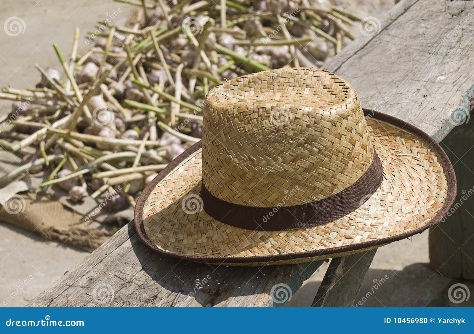 Cowboy hat stock photo. Image of texas, style, round - 10456980