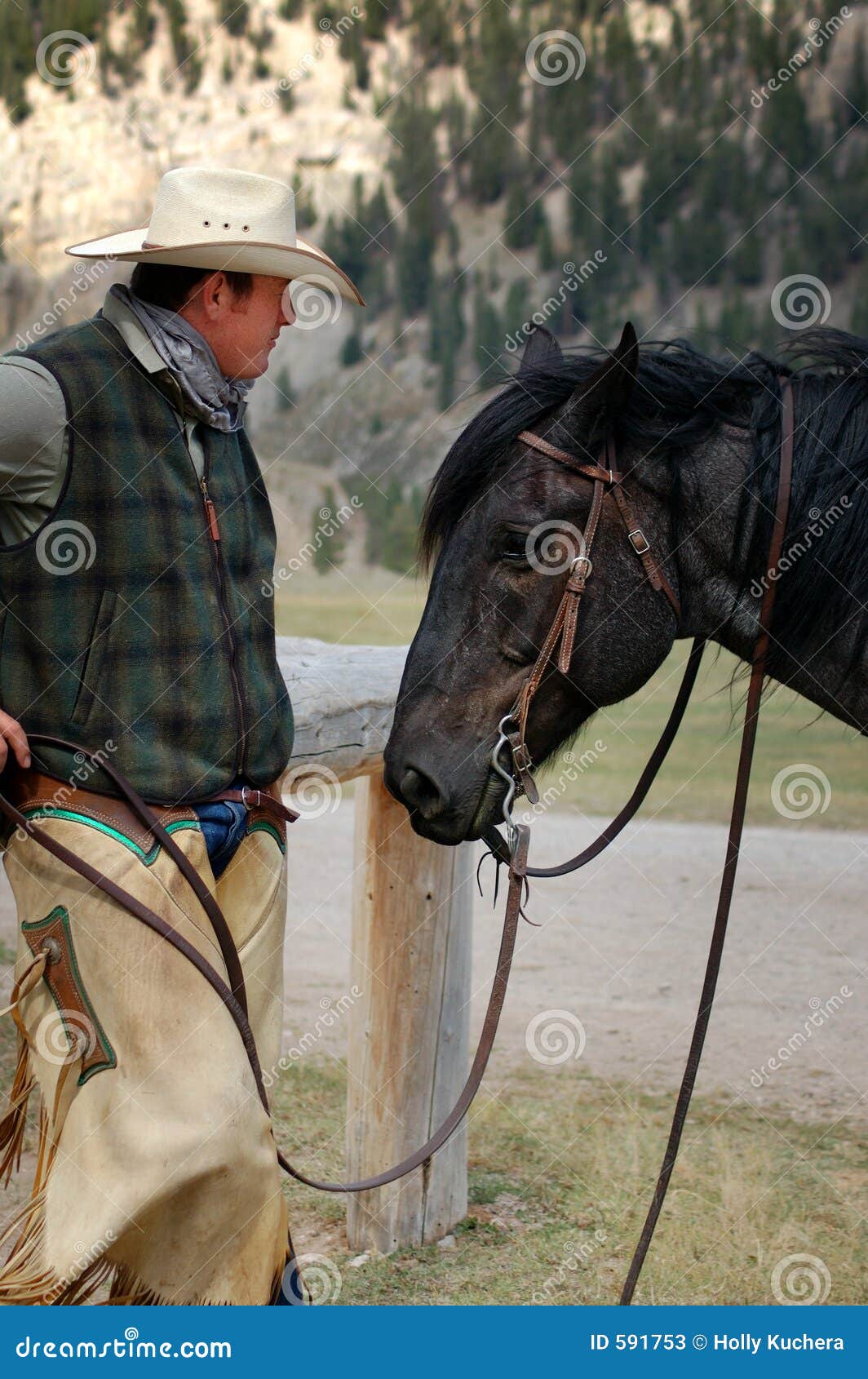 cowboy and his horse