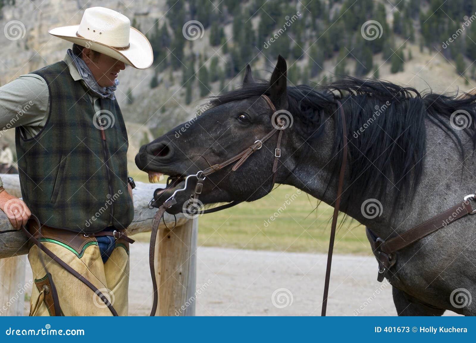 cowboy/horse conversation