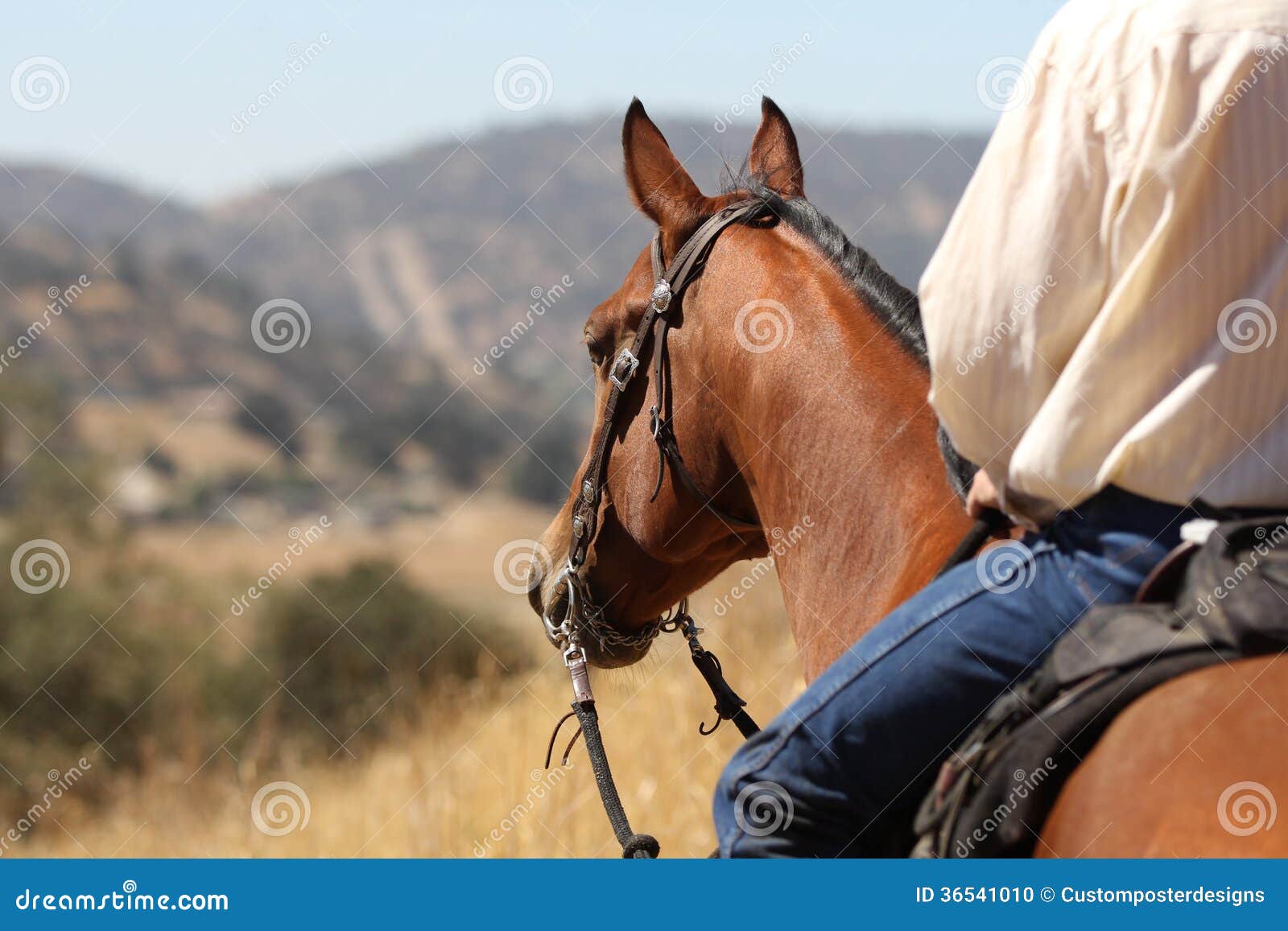 cowboy on a horse.