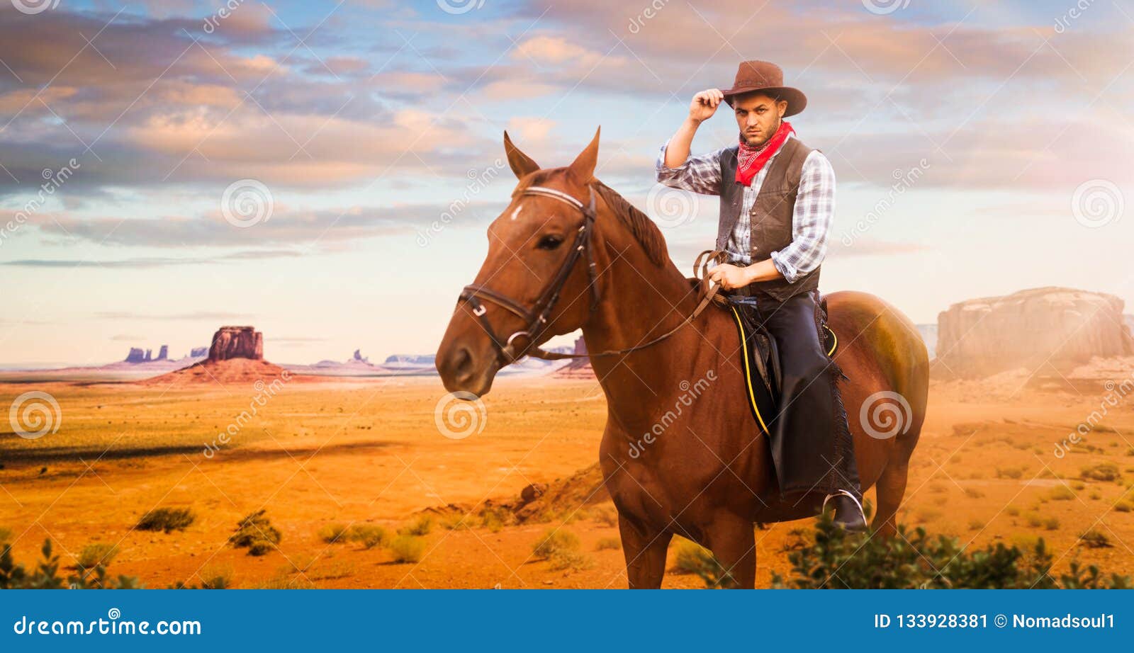 Riding Horses And Western Horses
