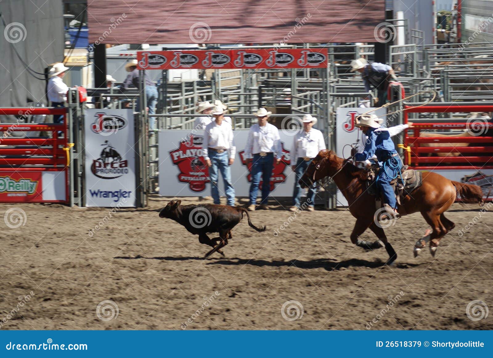 Cowboy roping steer editorial stock image. Image of puyallup 26518379