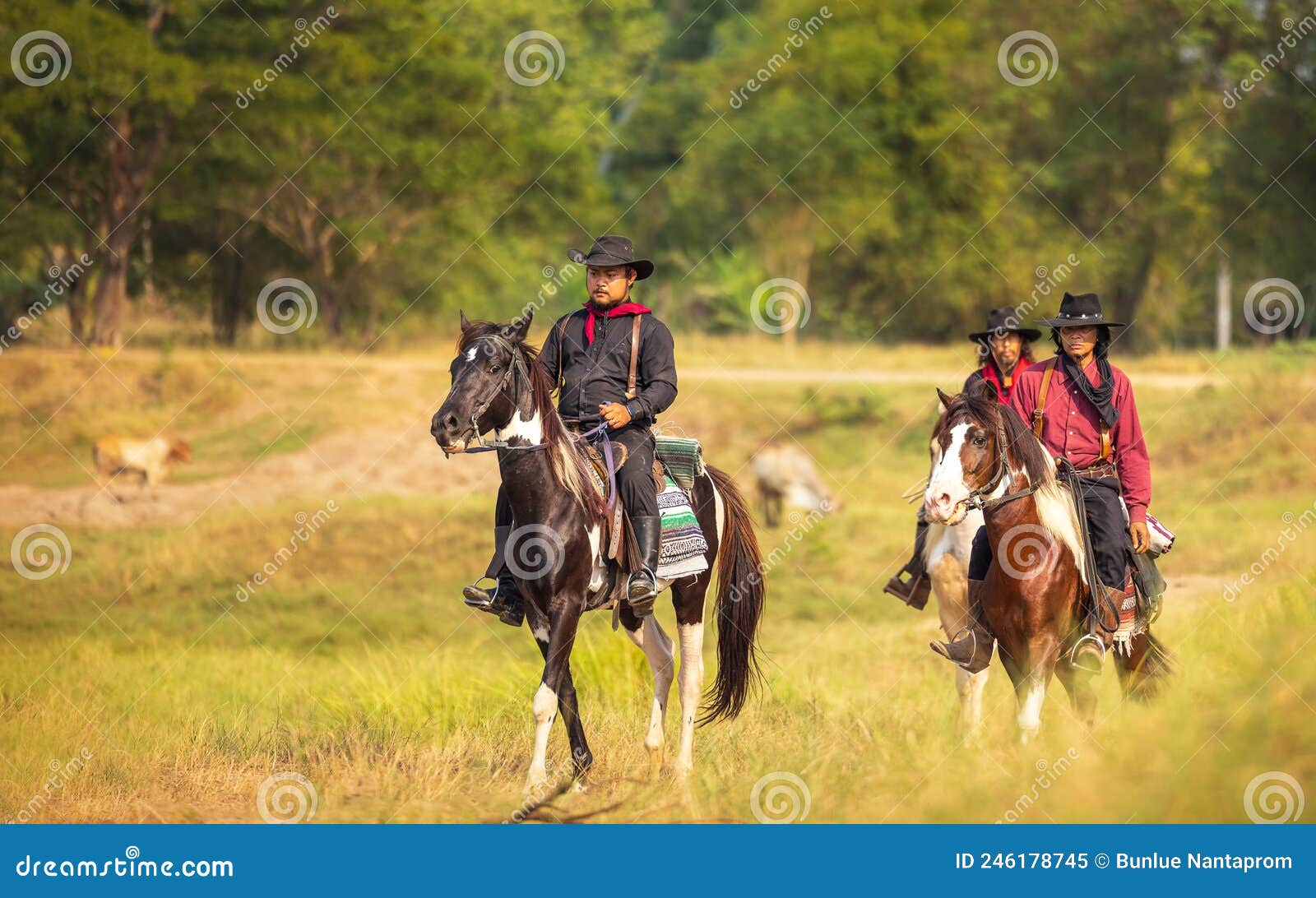 cowboy`s way of life include riding a horse around locales