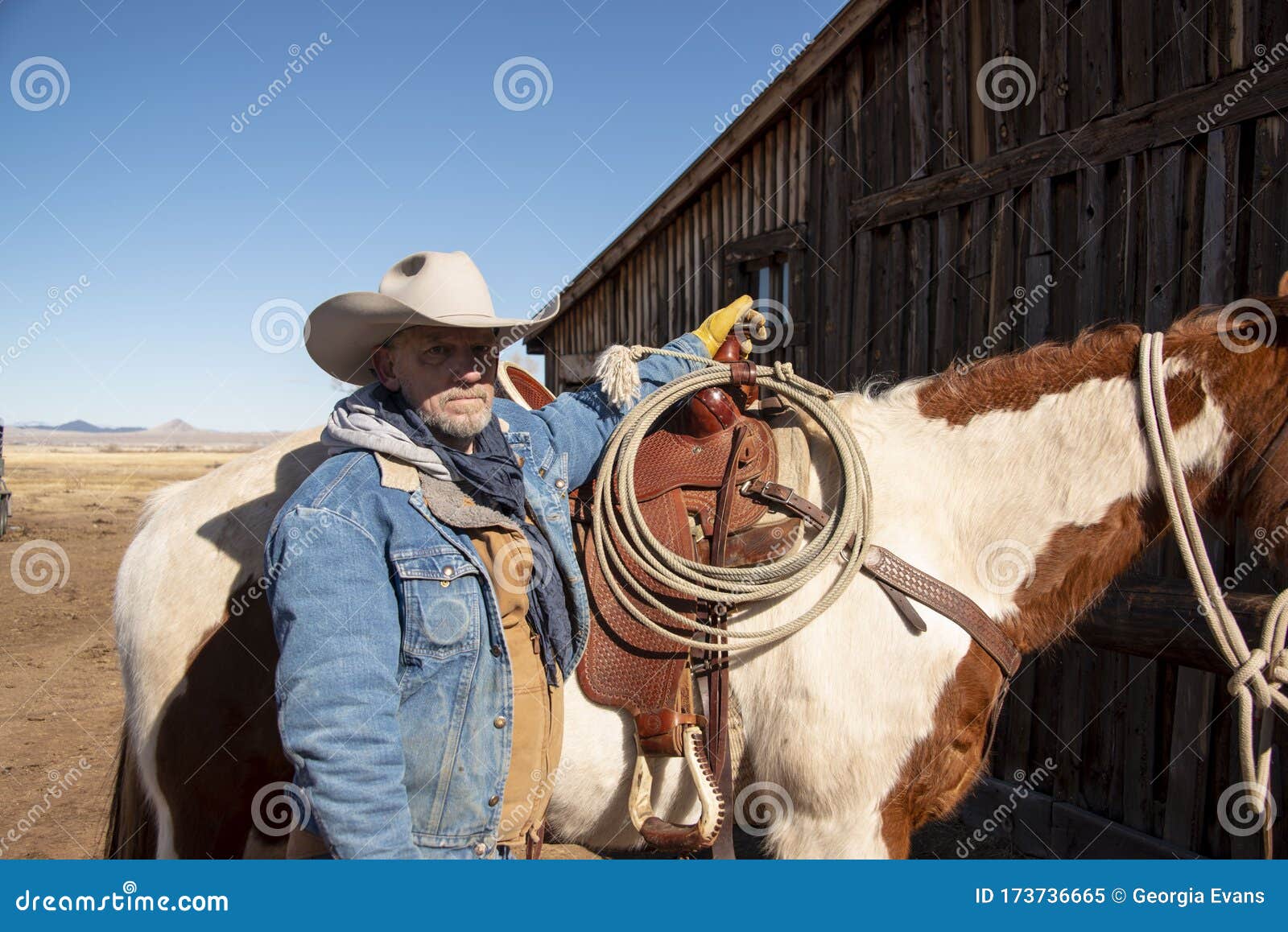 Cowboy Wrangler with White Hat Portrait with Saddled Paint Horse Ready To  Ride Editorial Image - Image of equestrian, lariat: 173736665