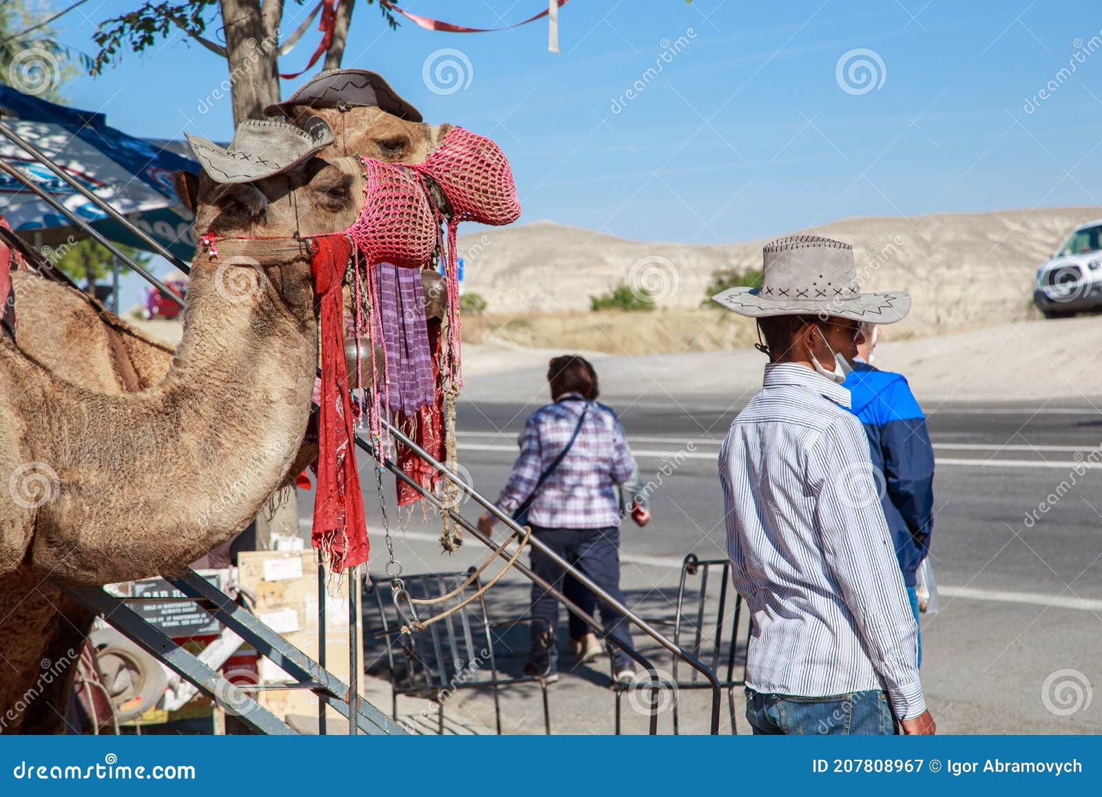 Camel riding with a cowboy hat in the Arabian desert