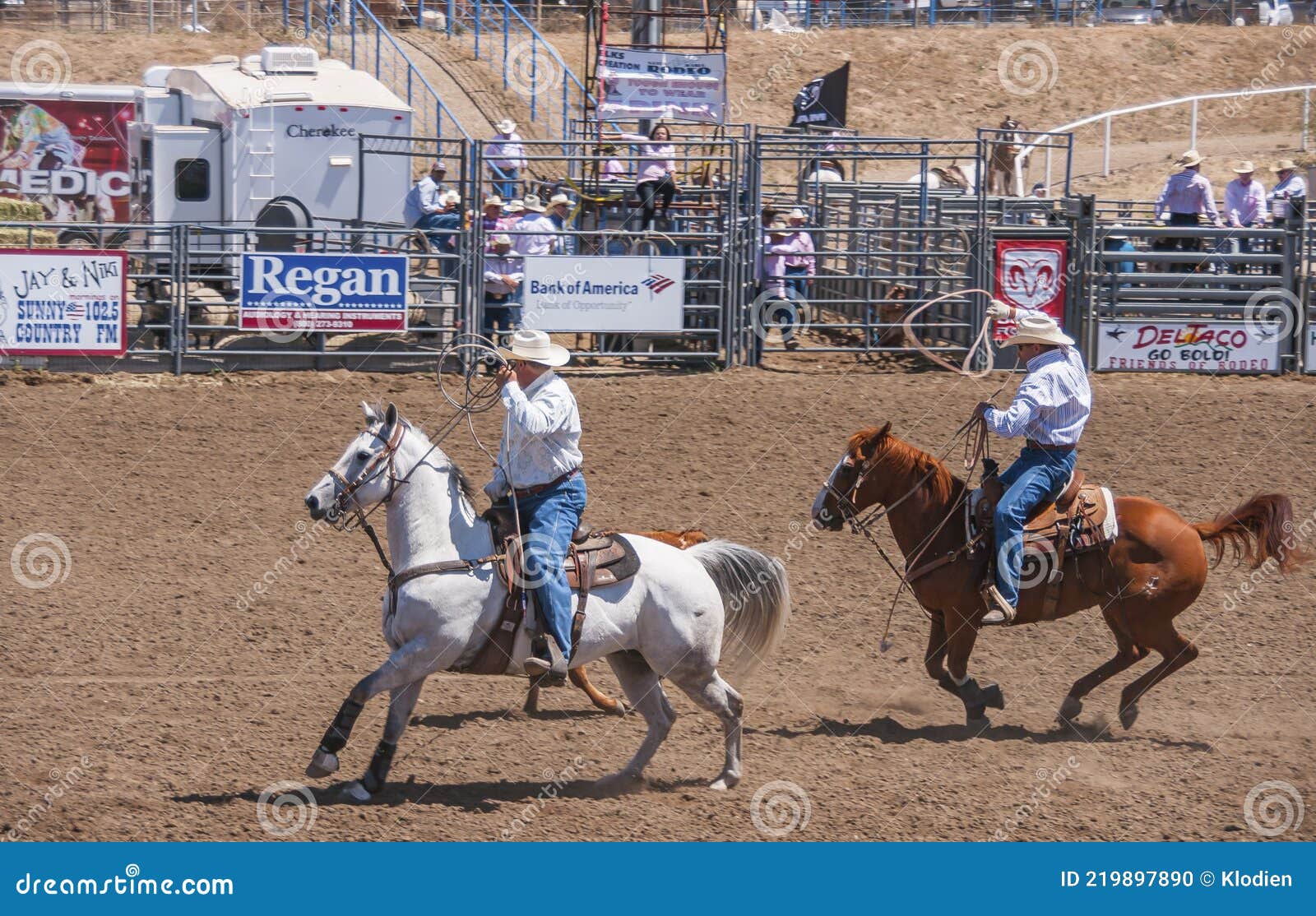 Rodeio em cavalos