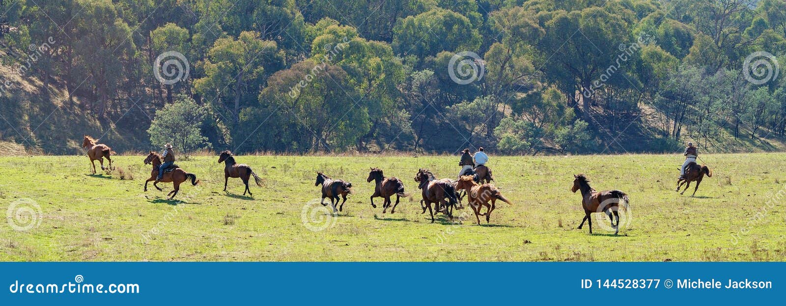 Wild Horse Country by David Philipps Wild Horse Country by David Philipps