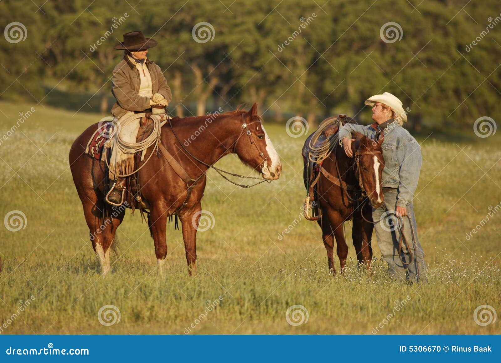 cowboys meeting in meadow