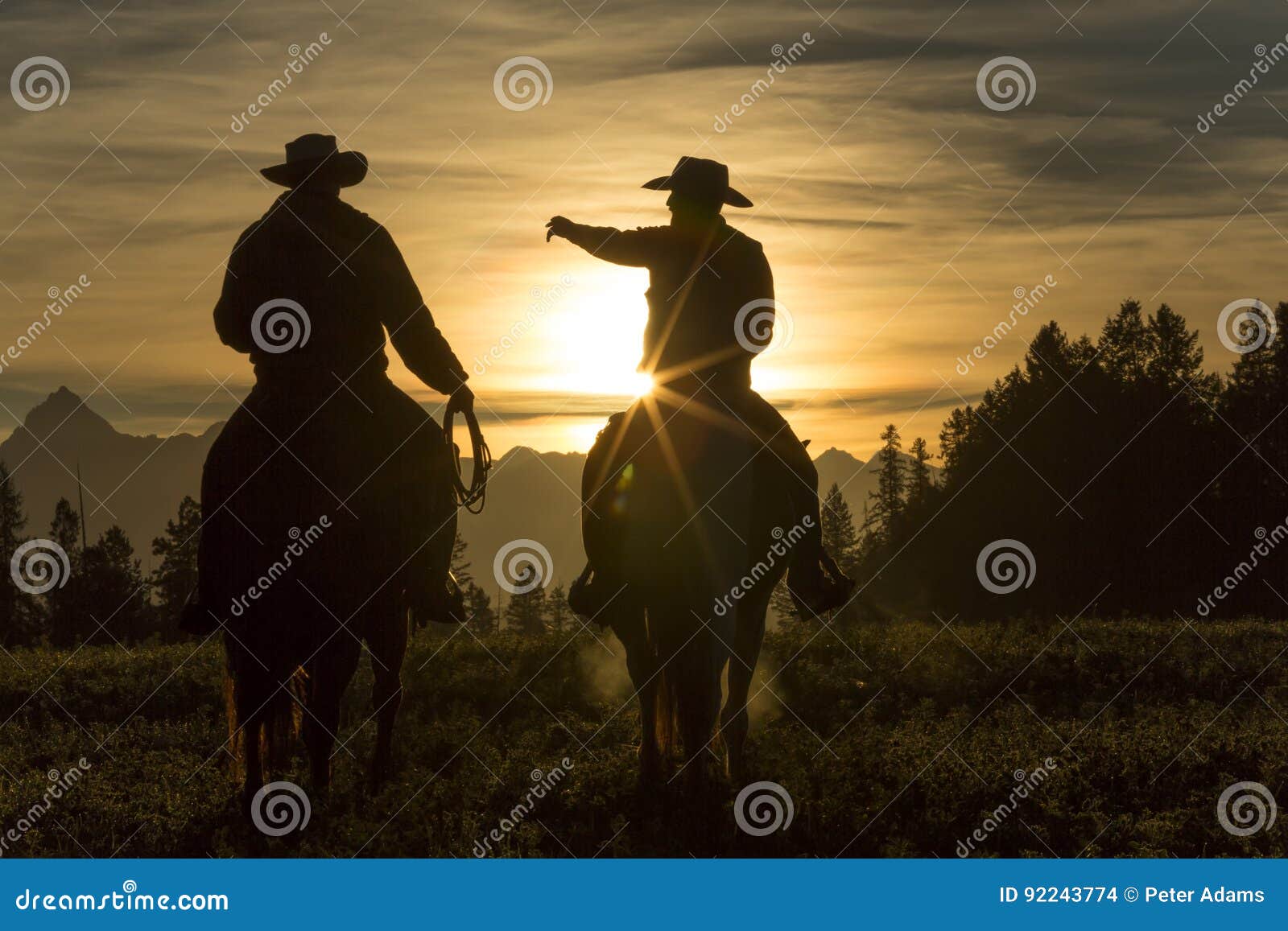 cowboys riding across grassland early moring, british colombia,