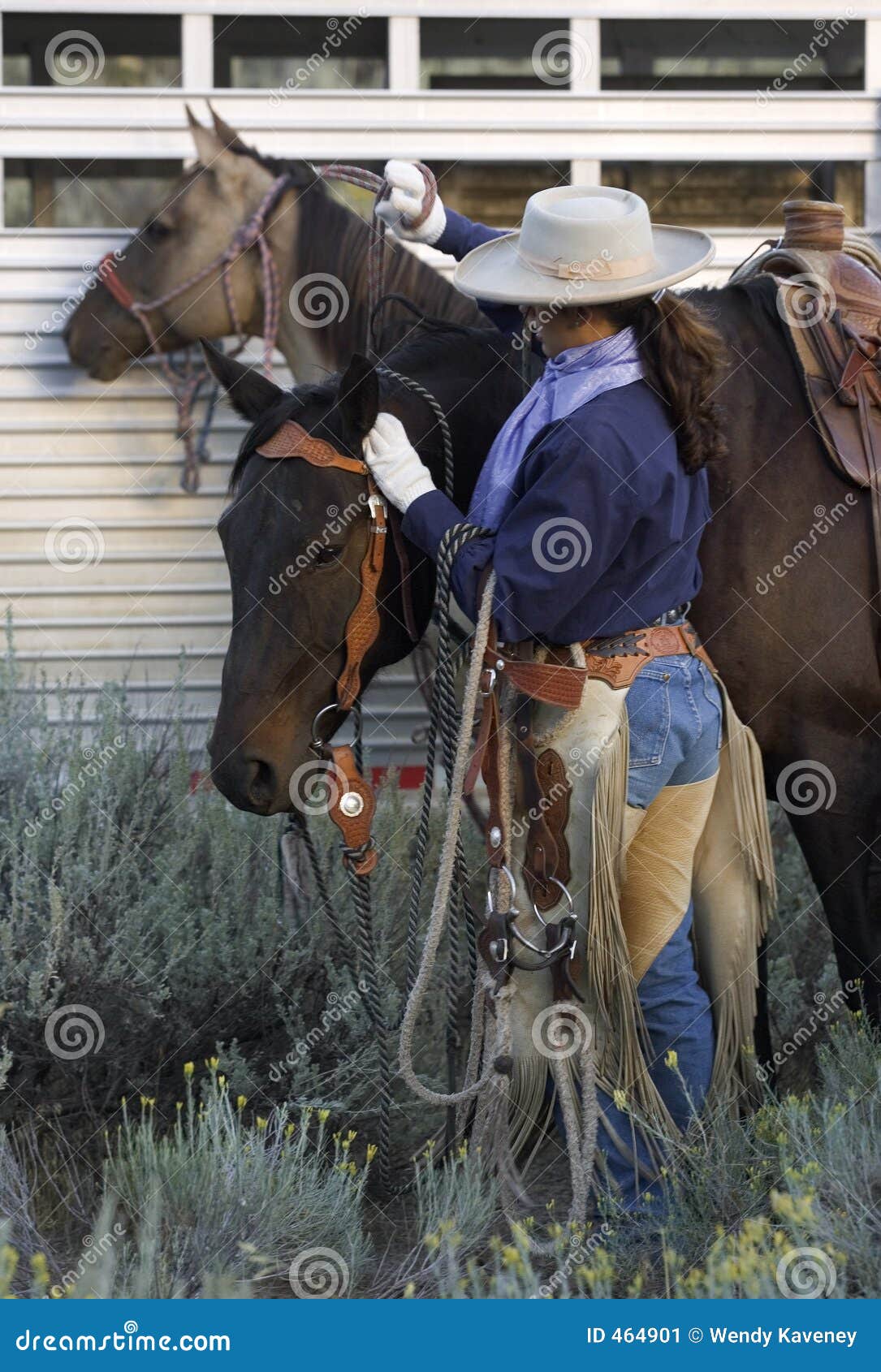 Foto de Cavalo Pulando Uma Cerca e mais fotos de stock de Cross-country  equestre - Cross-country equestre, Cavalo - Família do cavalo, Cavalgar -  iStock