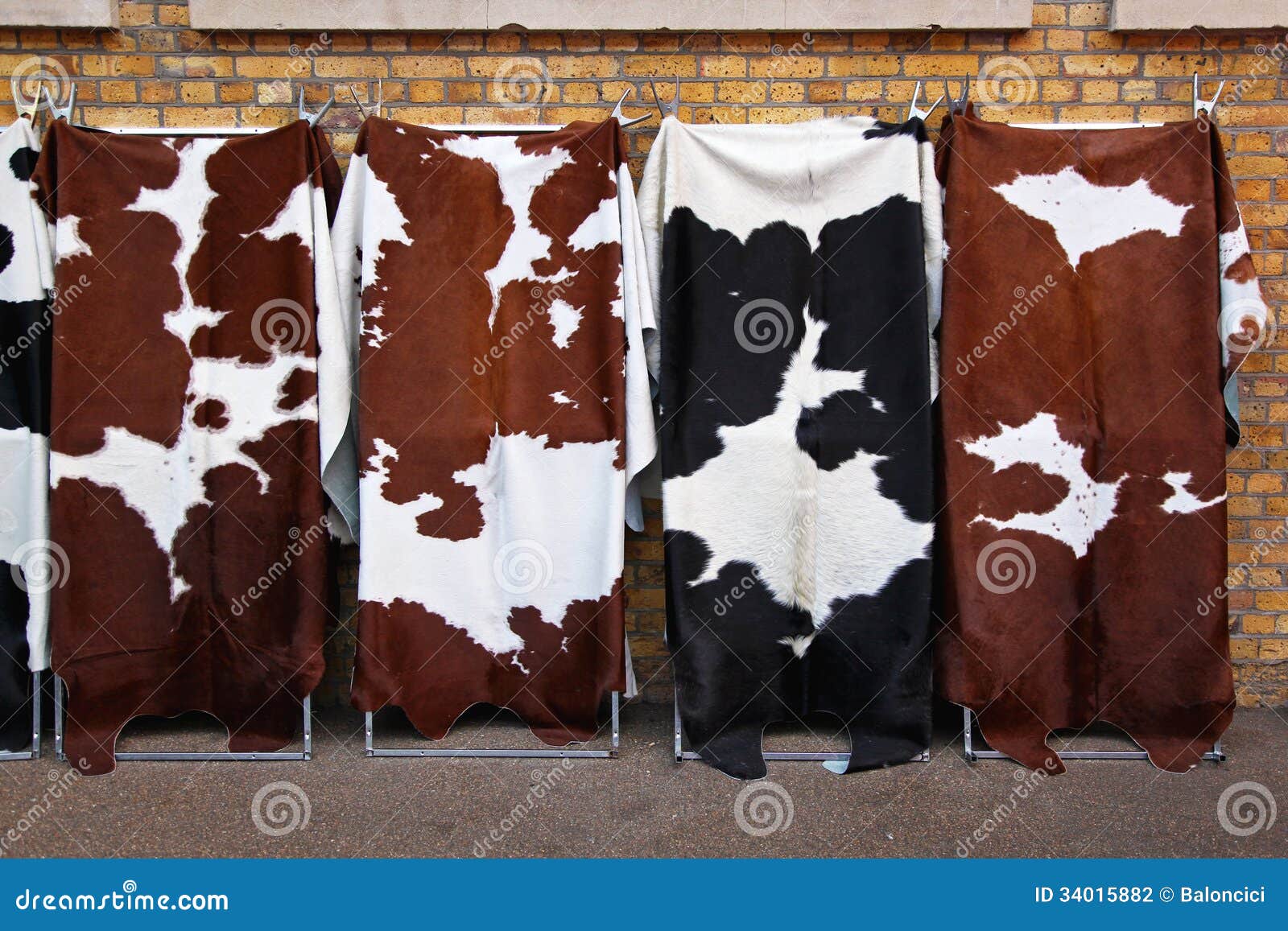 Cowhides stock photo. Image of pelt, leather, skin, four 34015882