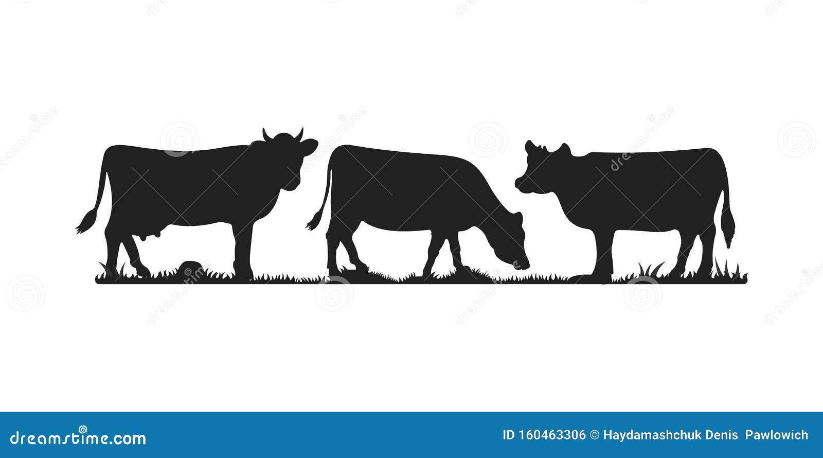 cows in different poses  set. silhouettes of grass. cow grazing on meadow.
