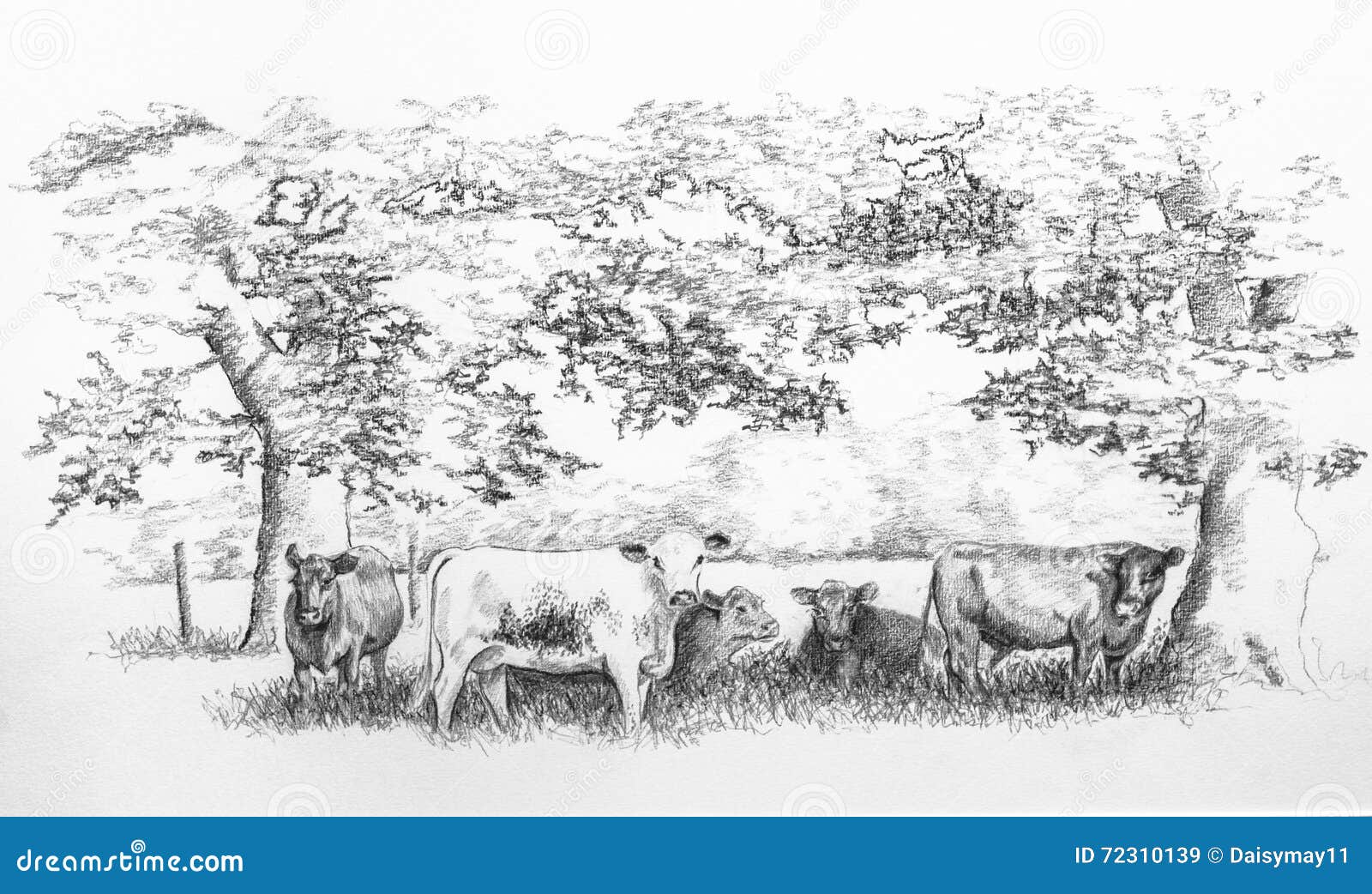 The Ultimate Collection of Nature Pencil Drawings - Over 999 Stunning  Images in Full 4K