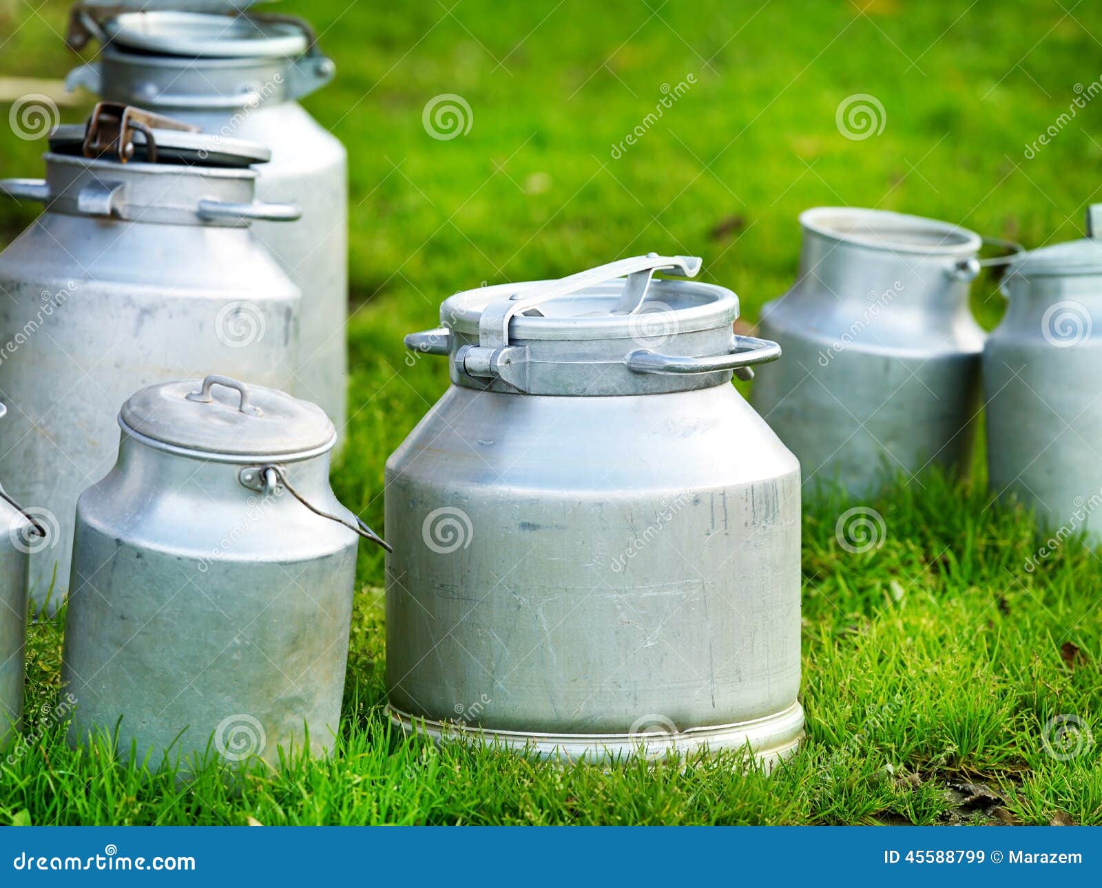 Cows milk stock image. Image of outside, drink, natural 45588799