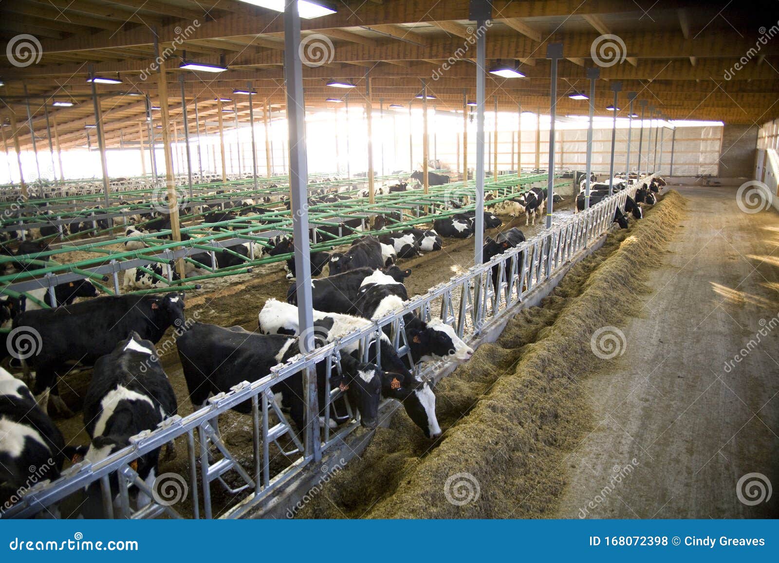 Stanchion Barn Photos Free Royalty Free Stock Photos From