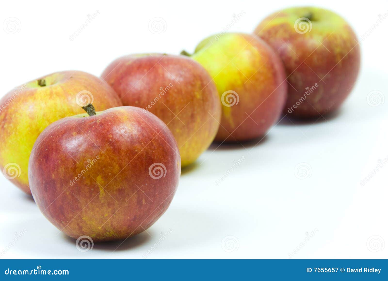 Five ripe english cox s pippin apples on white background